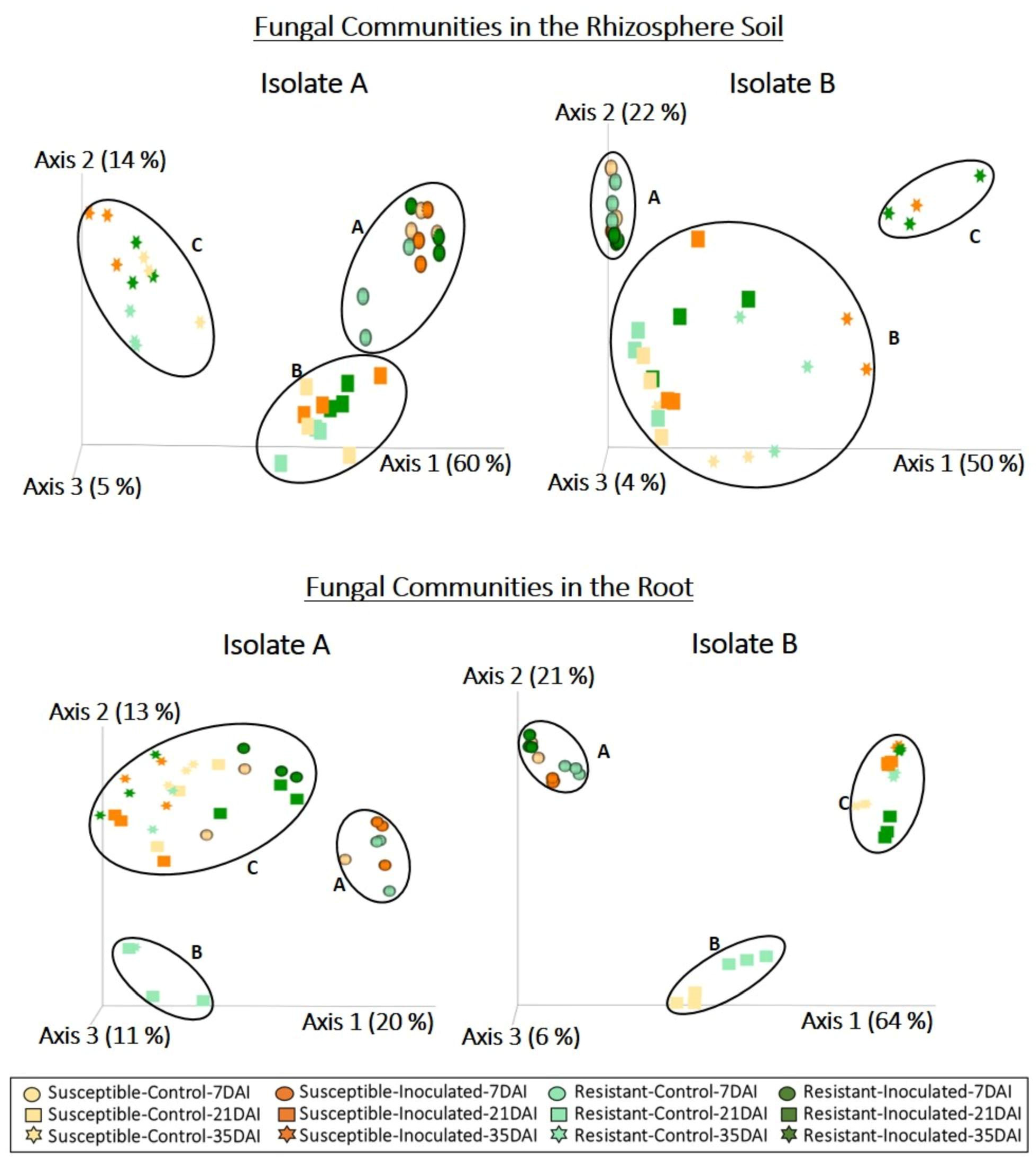 Plants 13 01880 g002