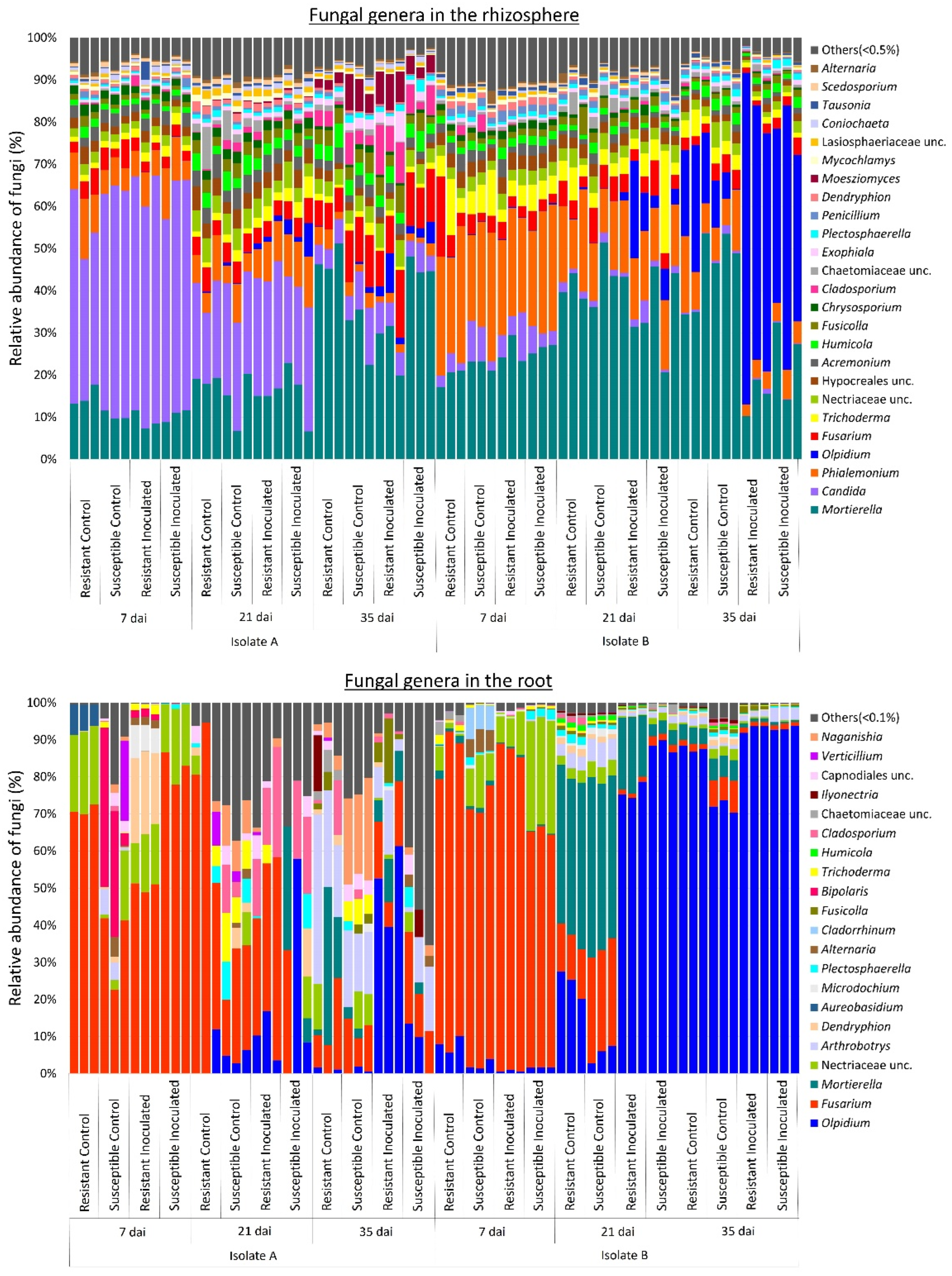 Plants 13 01880 g003