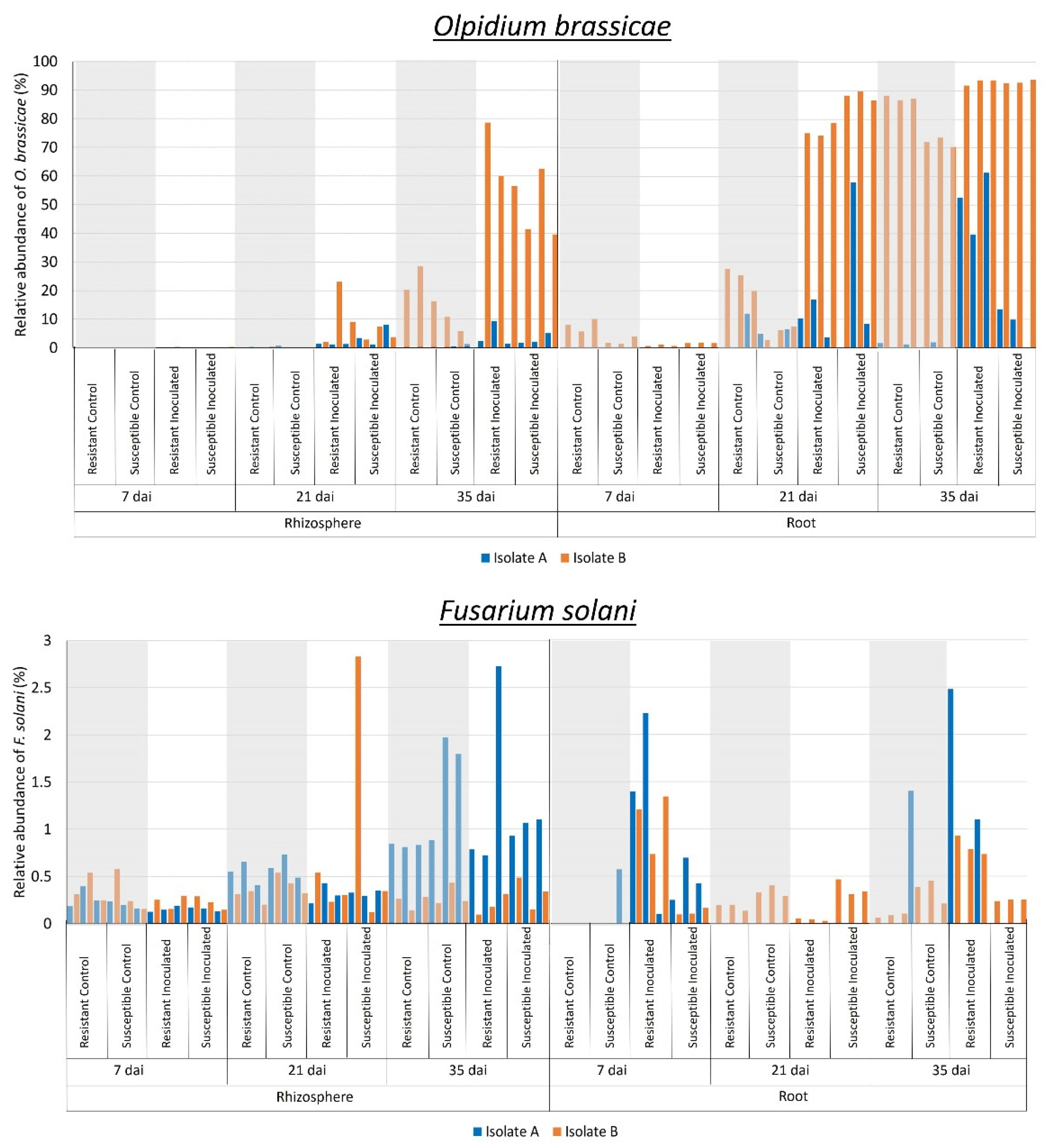 Plants 13 01880 g004