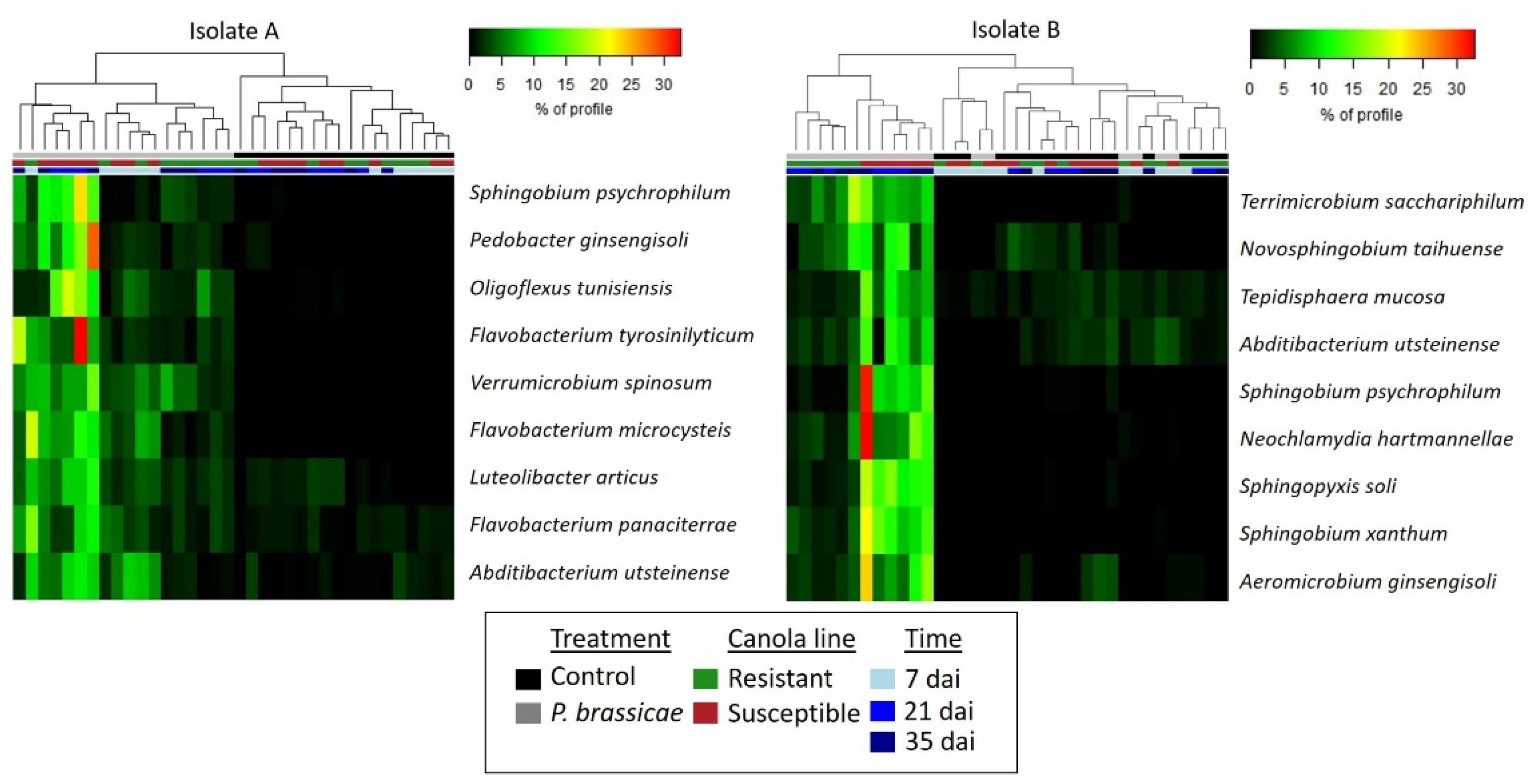Plants 13 01880 g007
