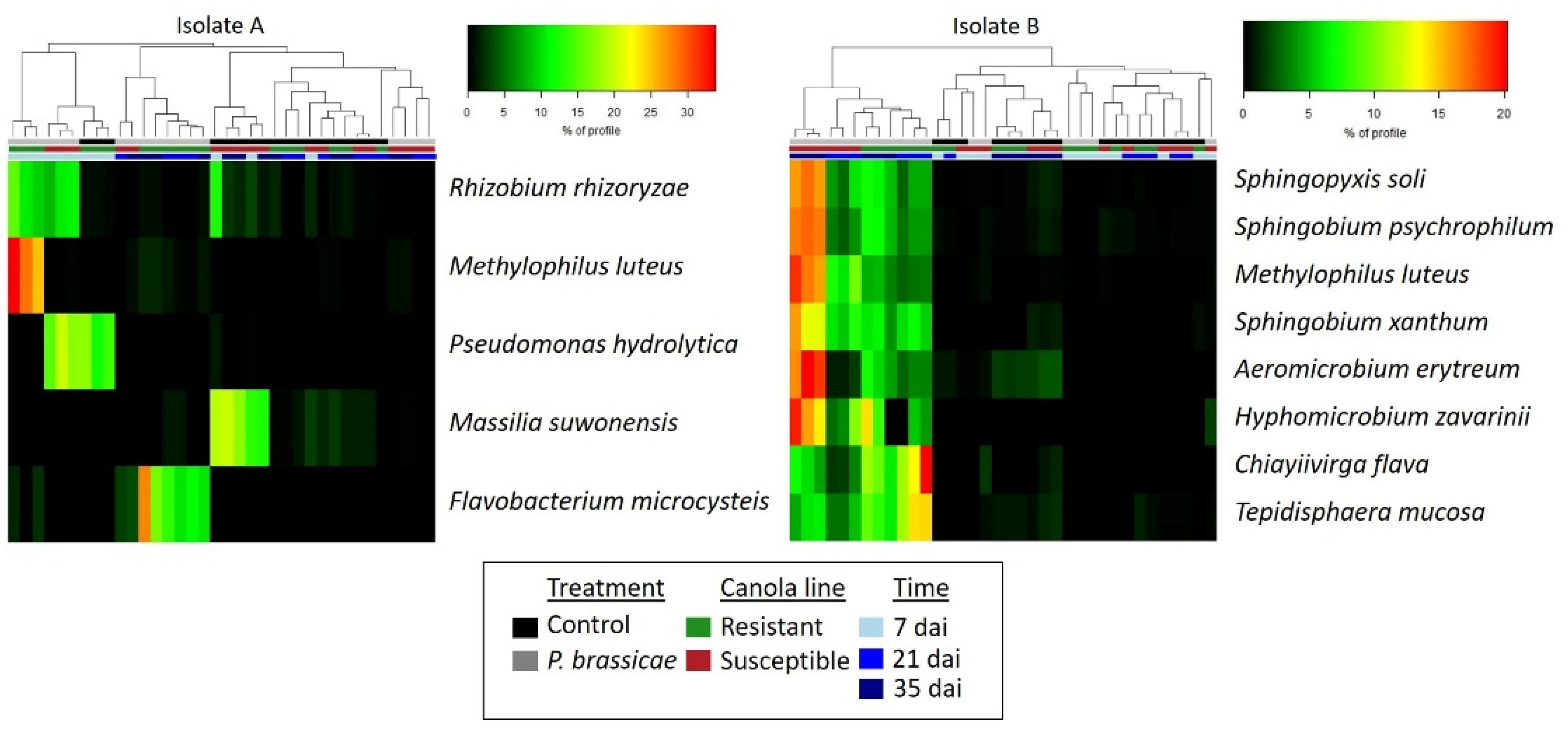 Plants 13 01880 g008