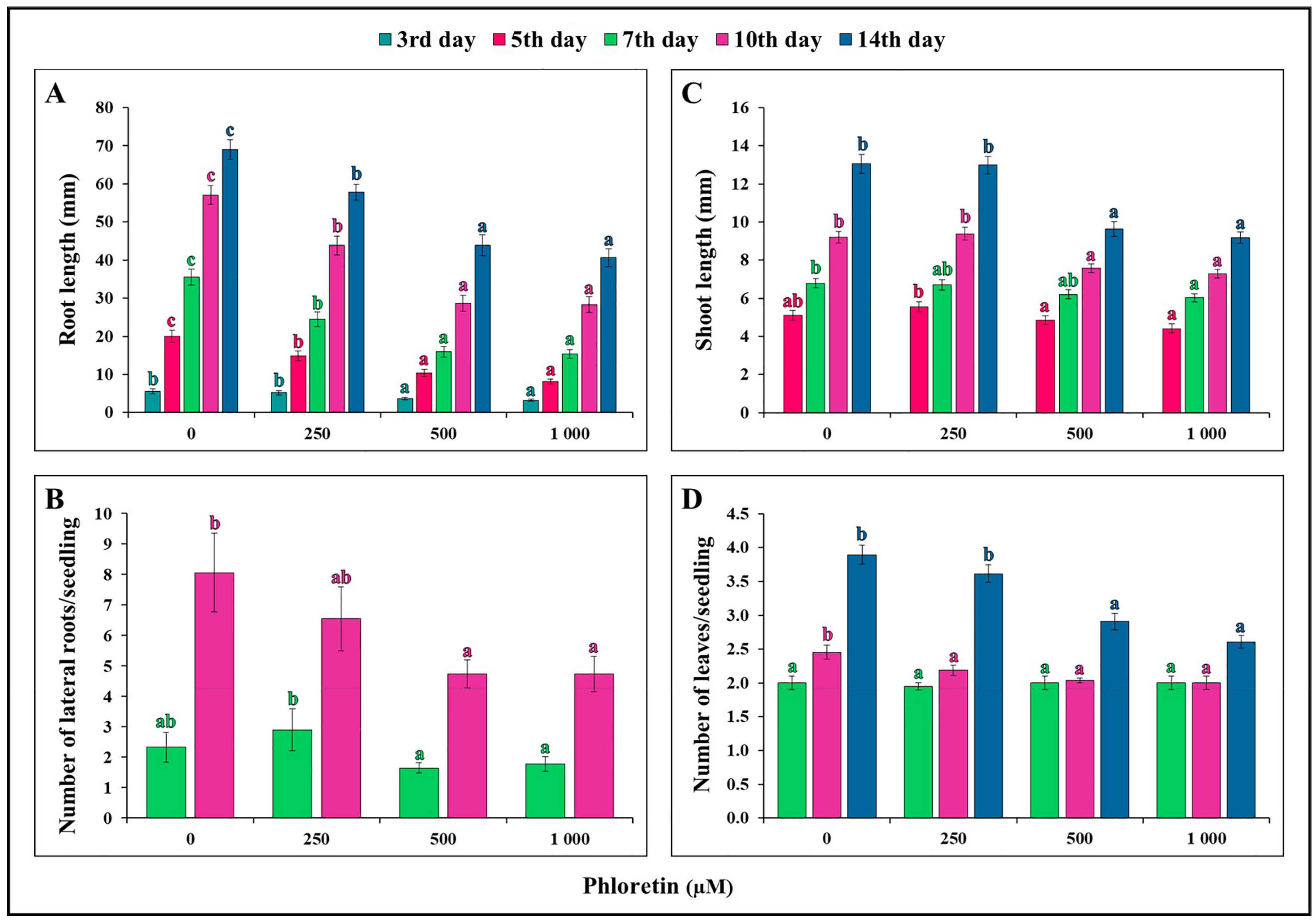 Plants 13 01890 g003