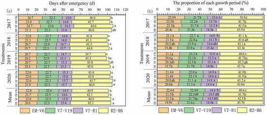 Drip Fertigation Increases Maize Grain Yield by Affecting