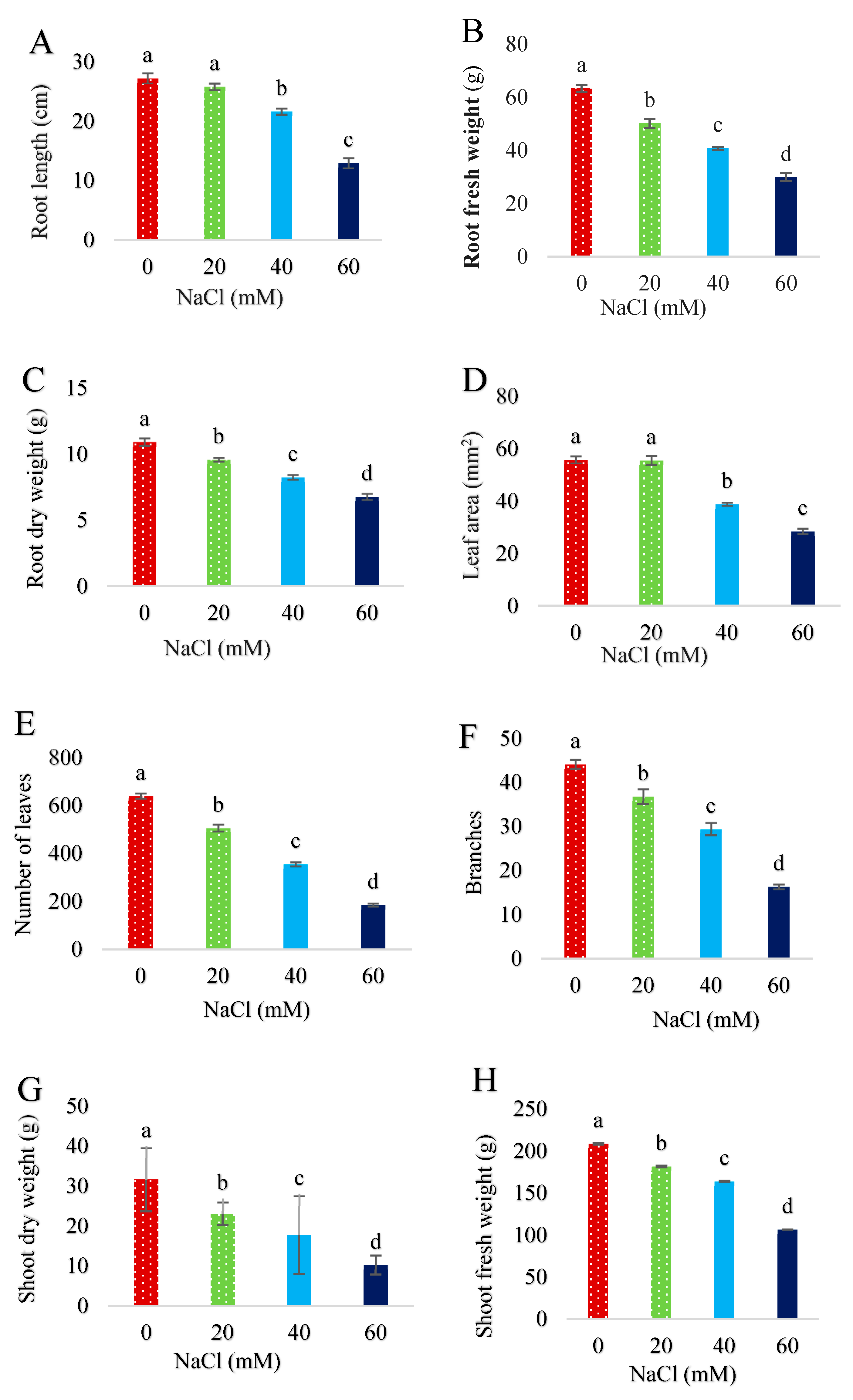 Plants 13 01909 g001 Plants 13 01909 g001