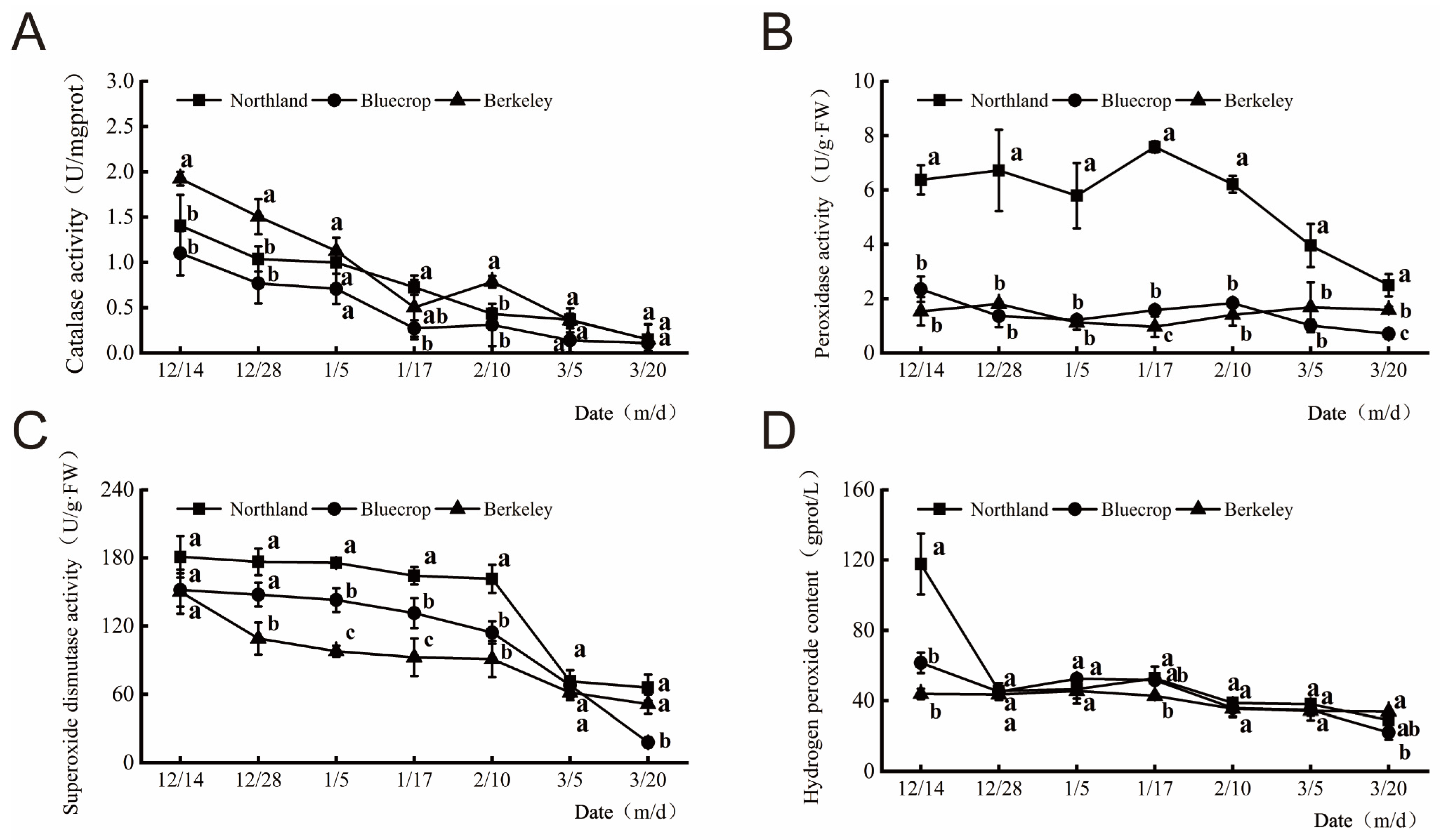 Plants 13 01911 g001