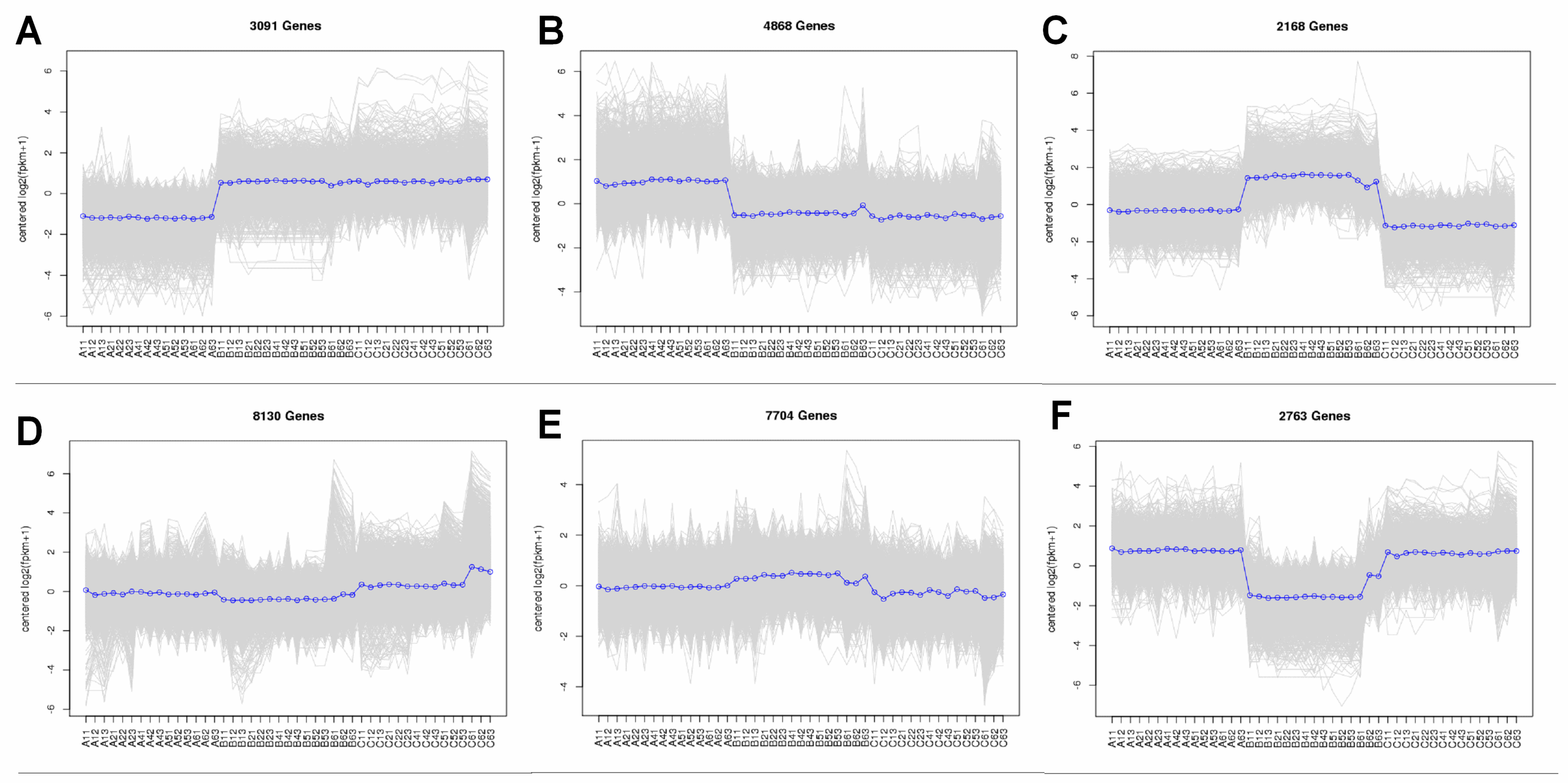 Plants 13 01911 g003