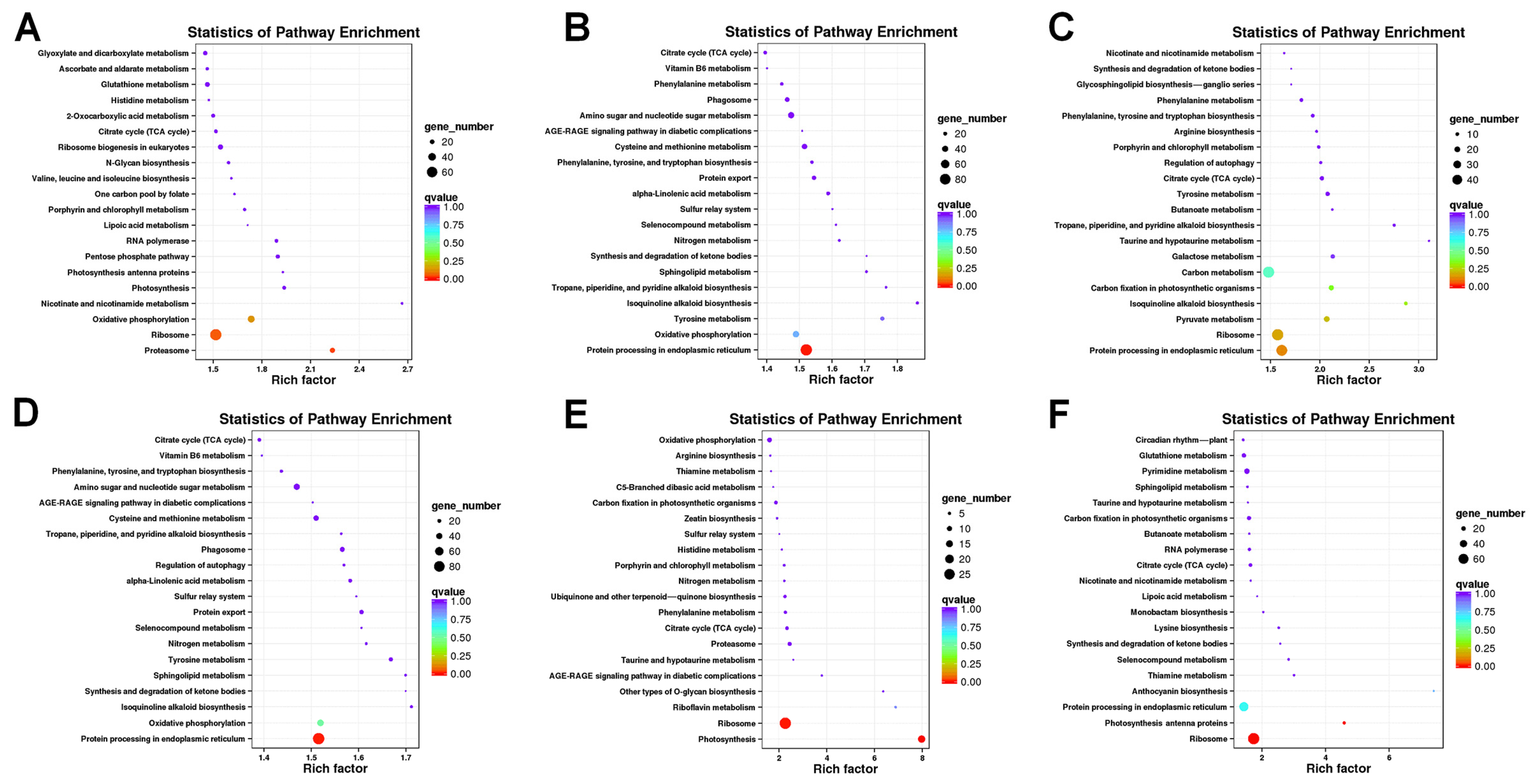 Plants 13 01911 g004