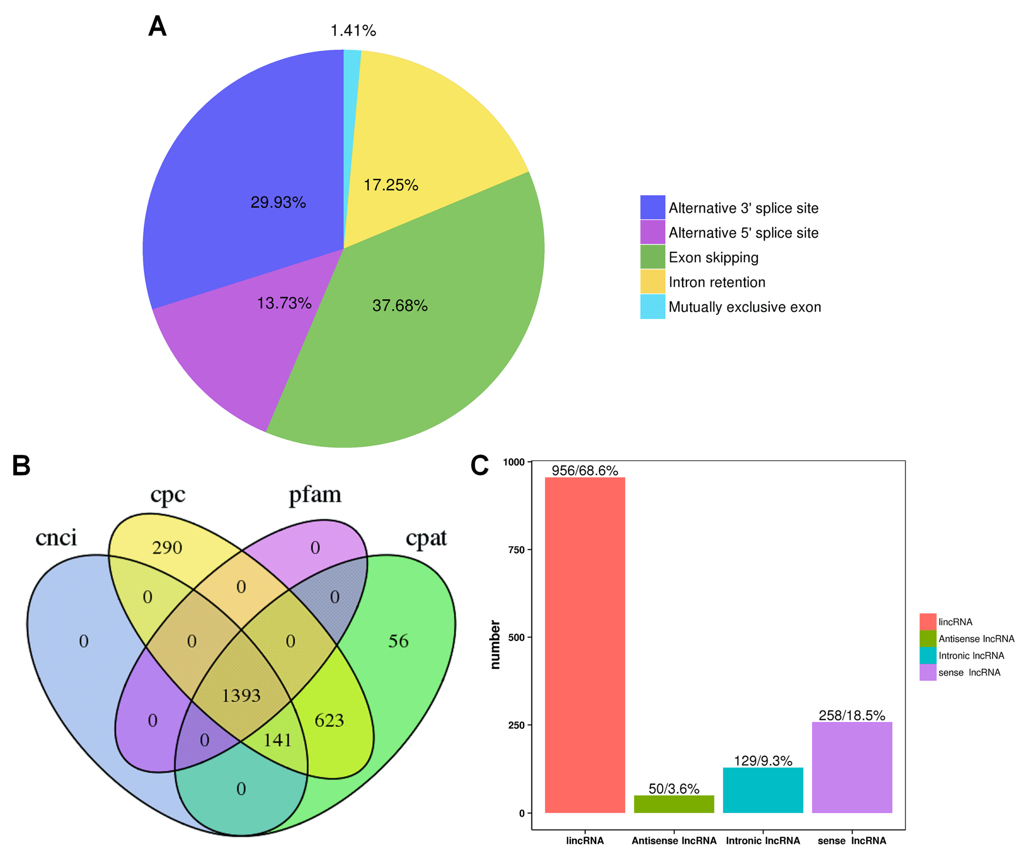 Plants 13 01911 g005