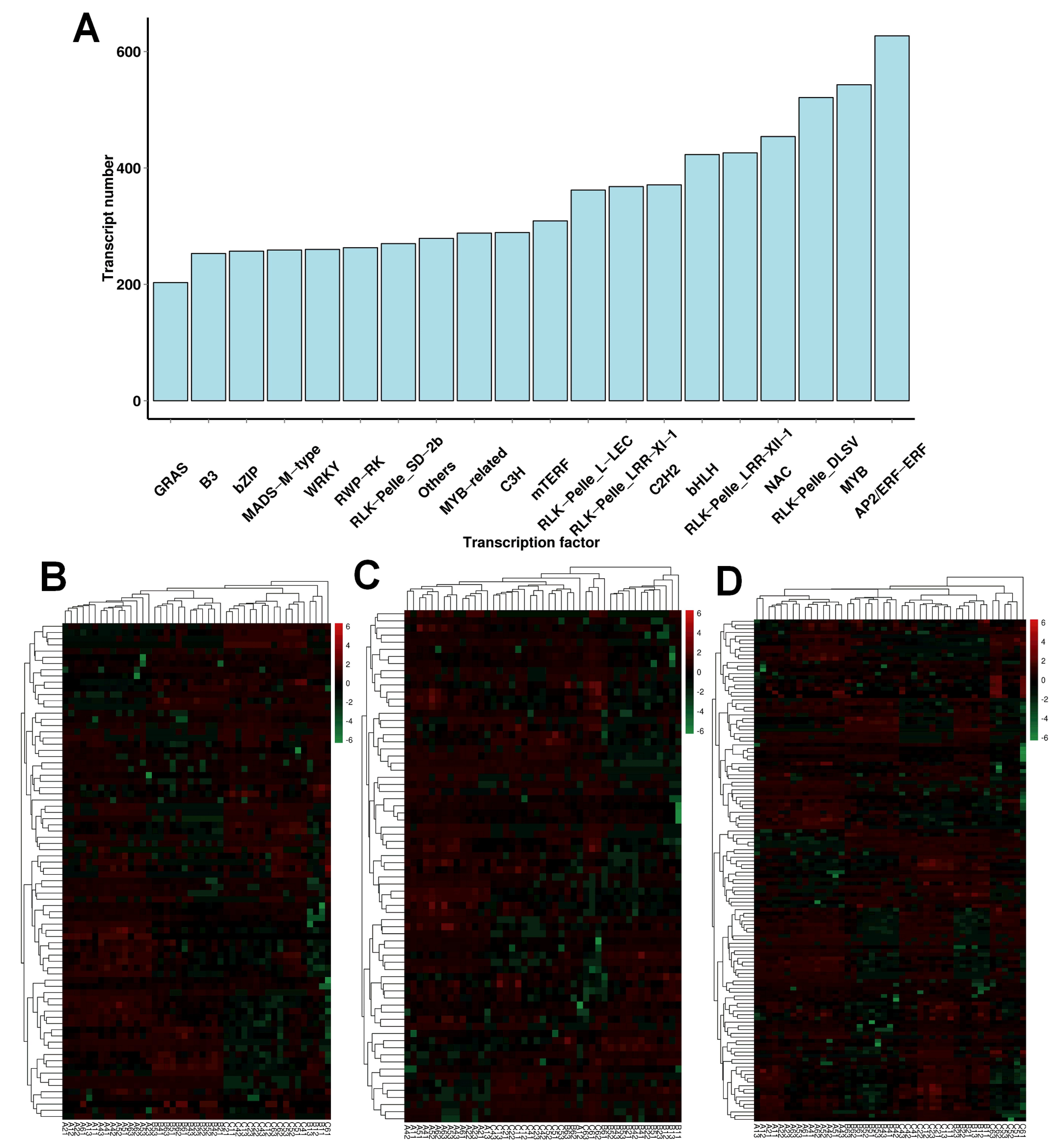 Plants 13 01911 g006