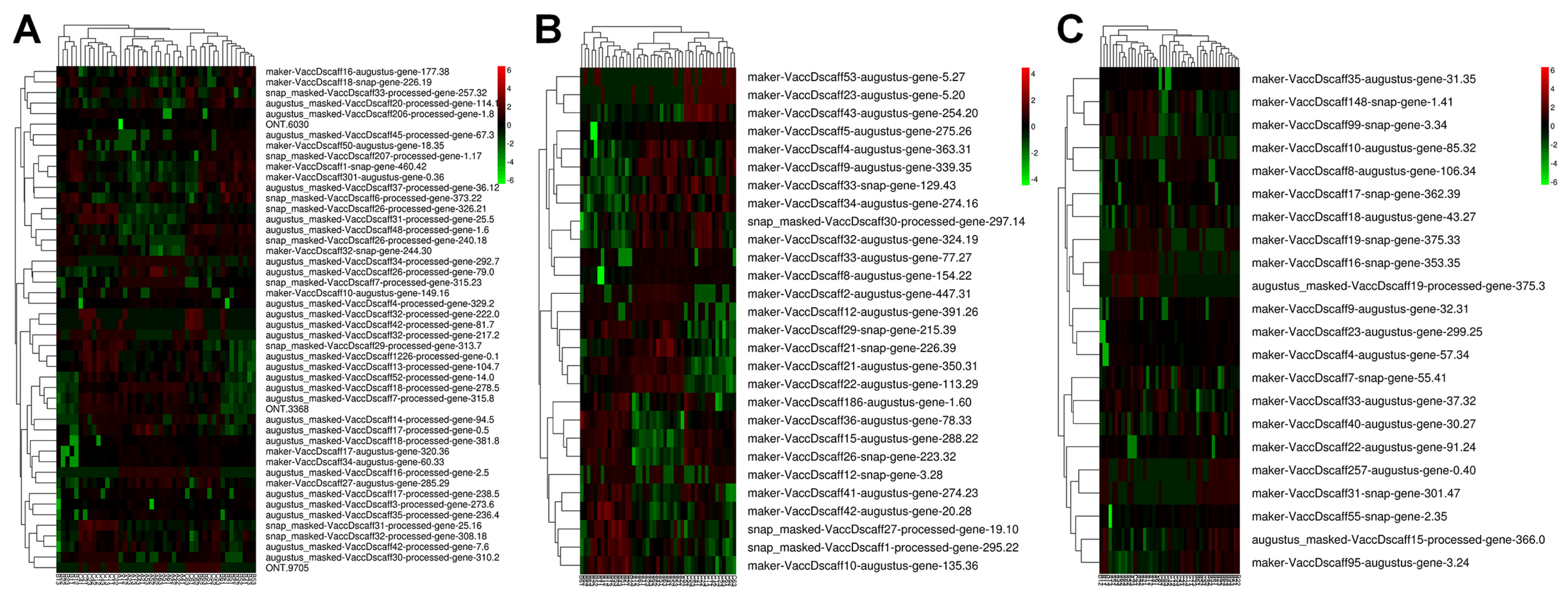 Plants 13 01911 g007