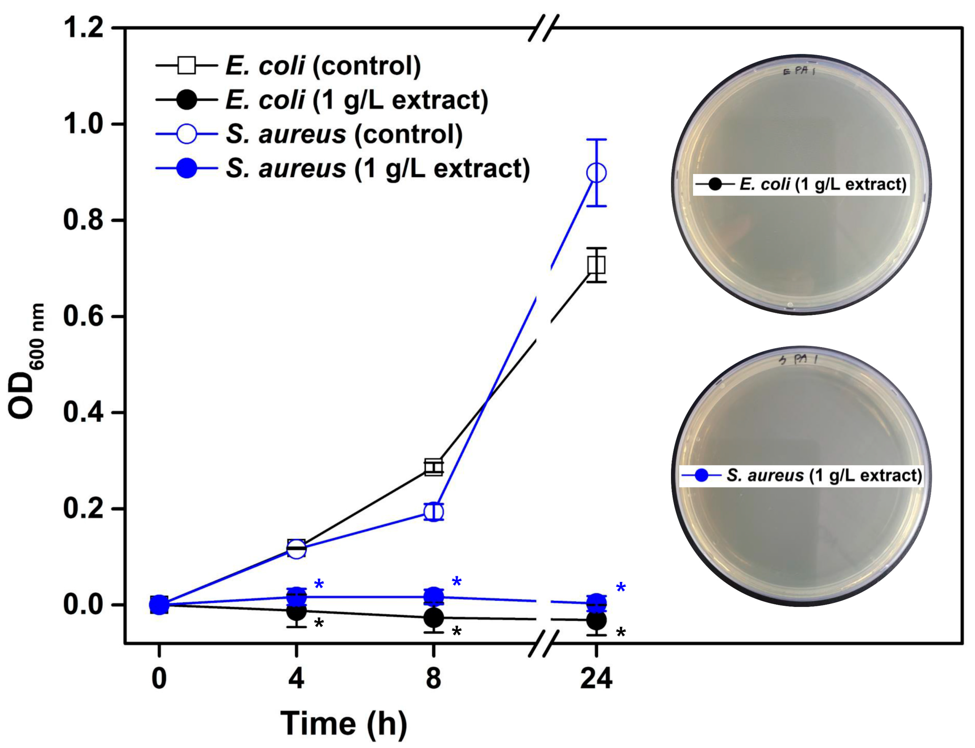 Plants 13 01915 g002