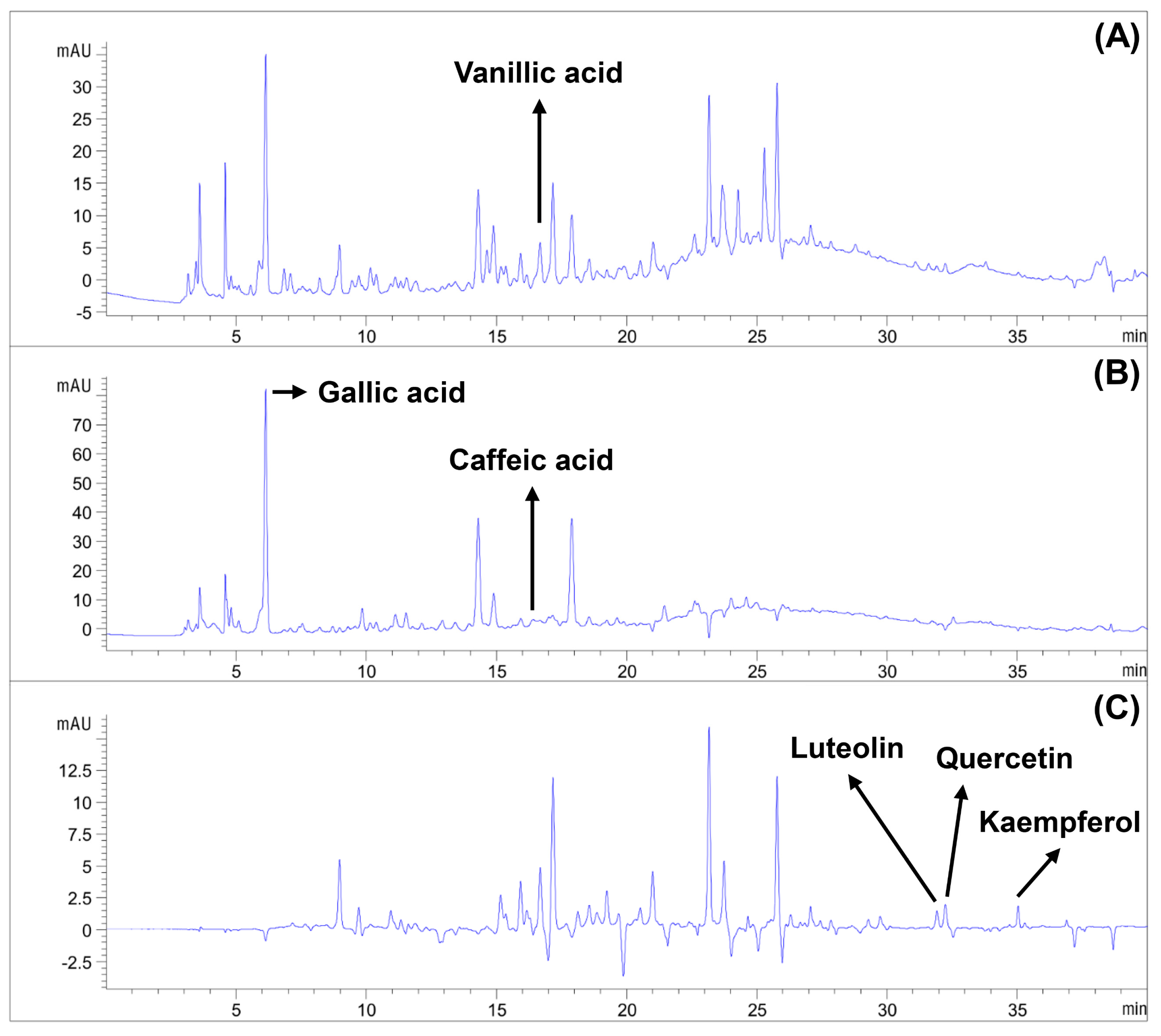 Plants 13 01915 g0a1