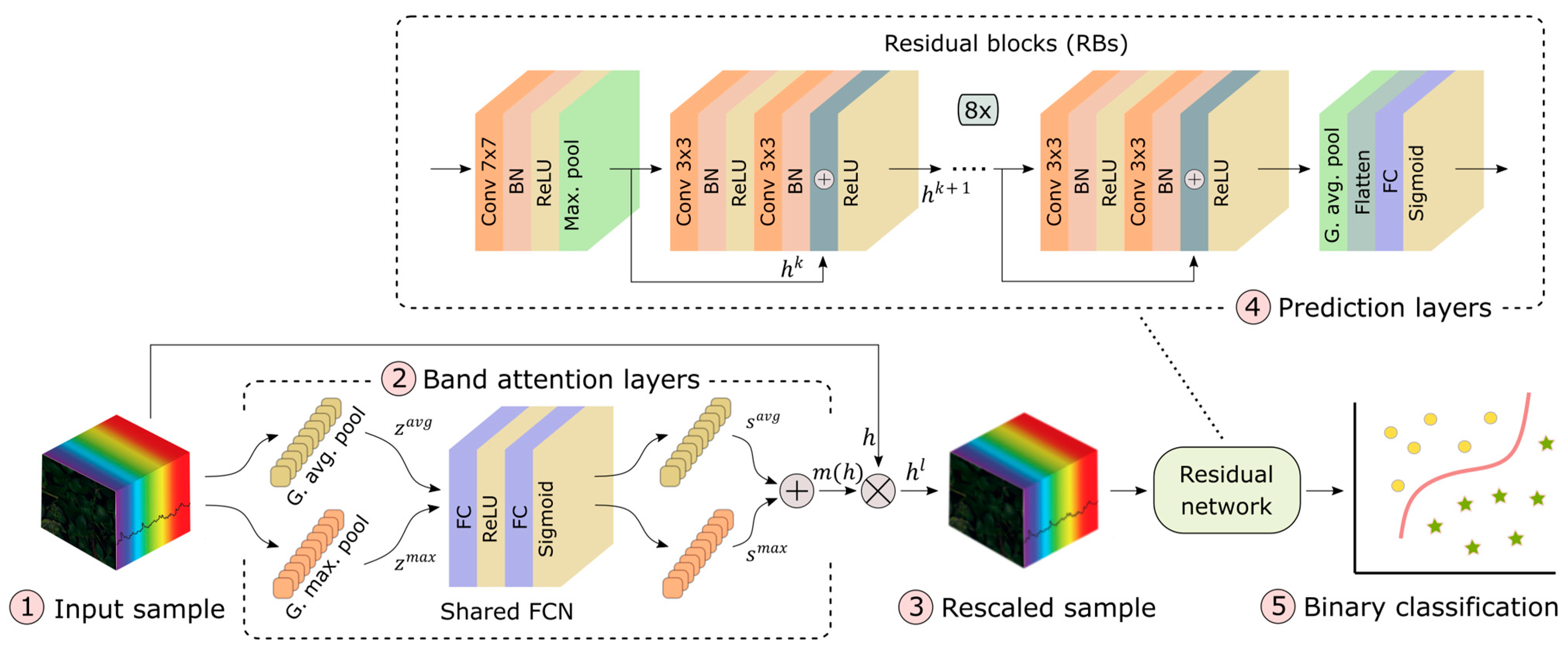 Plants 13 01918 g005
