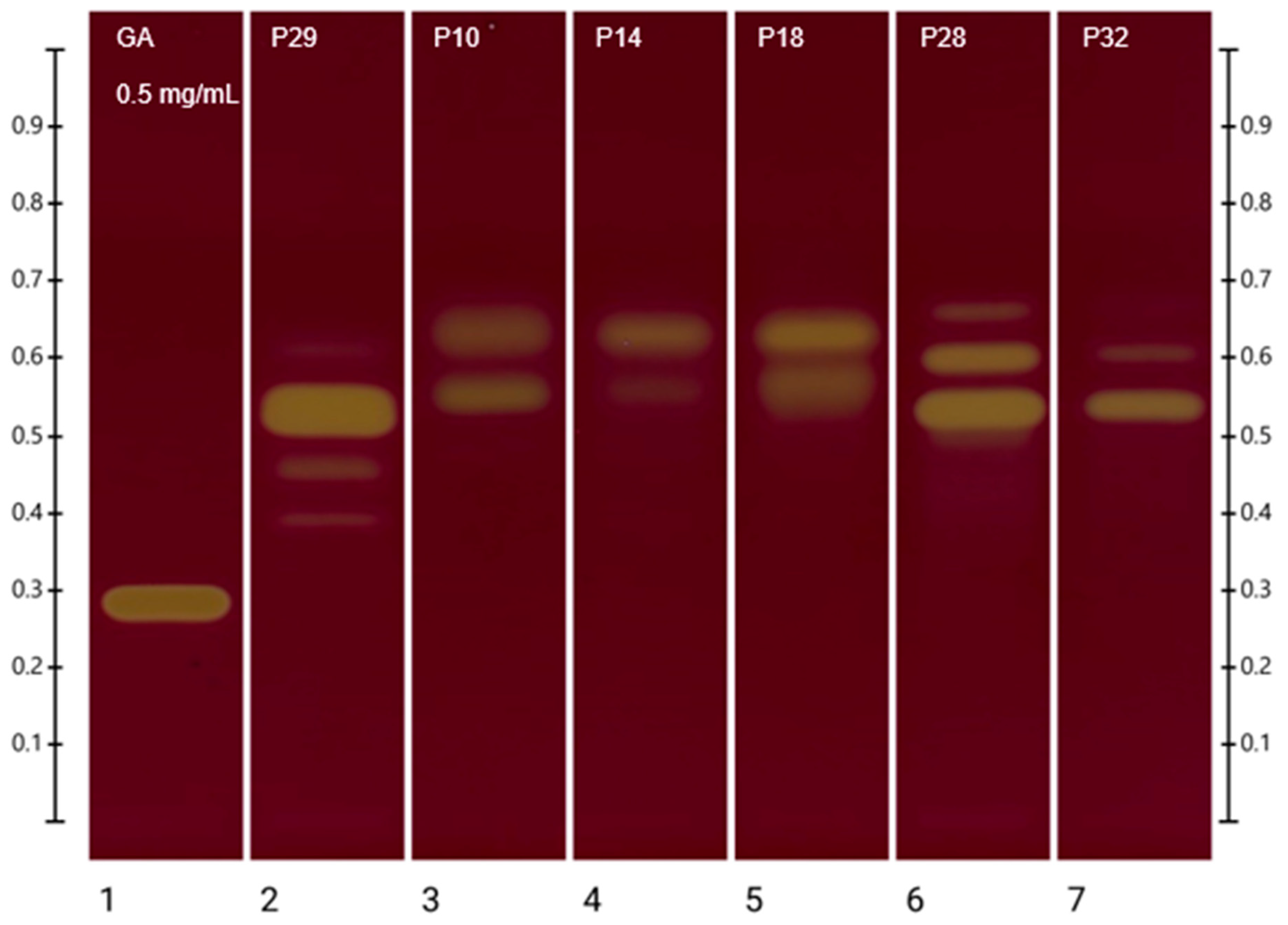 Plants 13 01919 g002