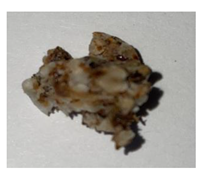 Plants 13 01919 i002