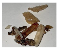 Plants 13 01919 i006