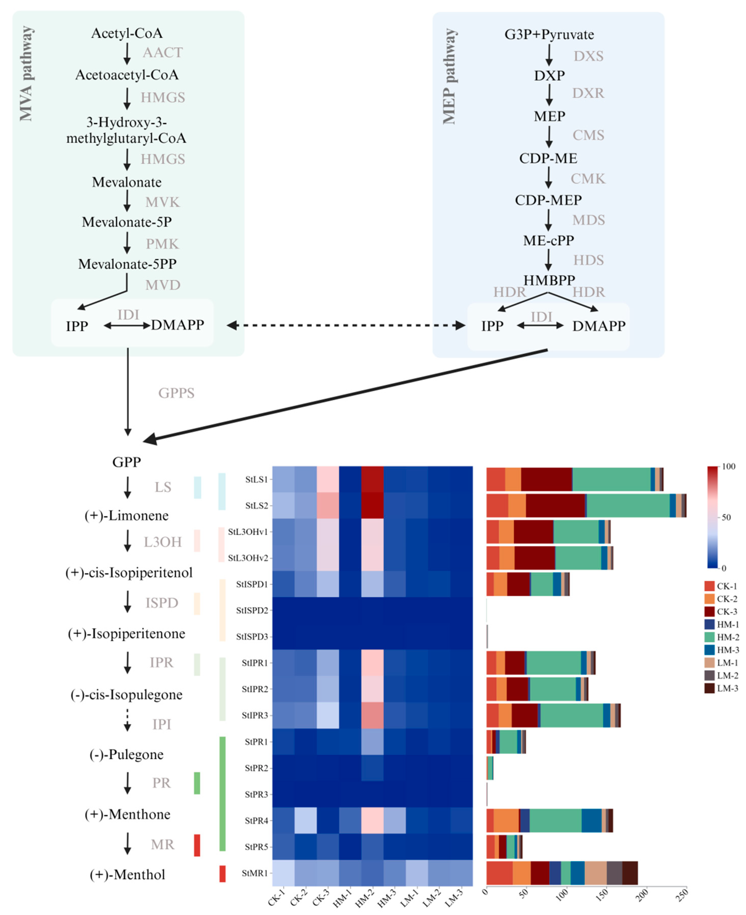 Impact of Methyl Jasmonate on Terpenoid Biosynthesis and Impact of Methyl Jasmonate on Terpenoid Biosynthesis and