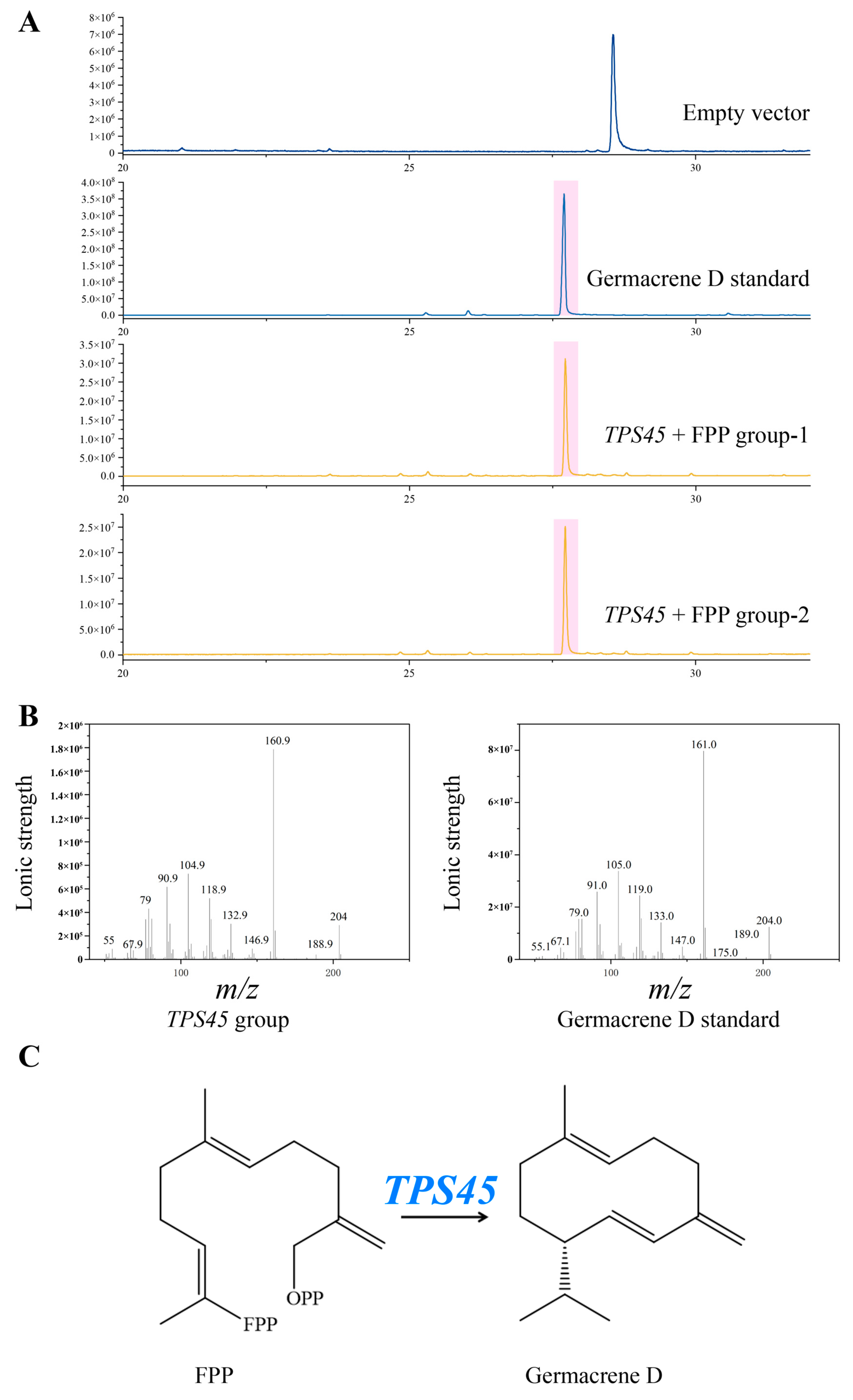 Plants 13 01920 g005