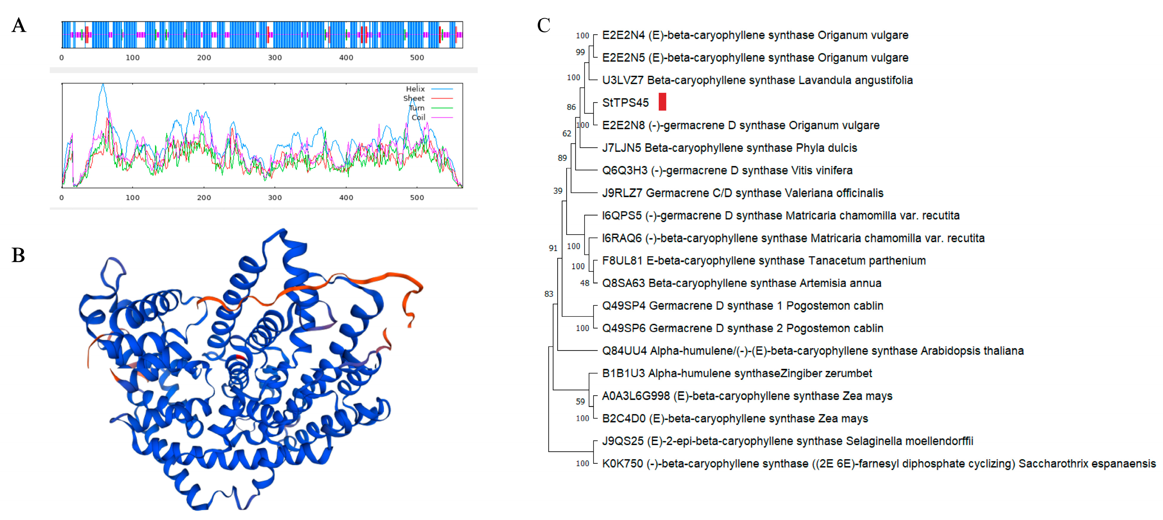 Plants 13 01920 g007