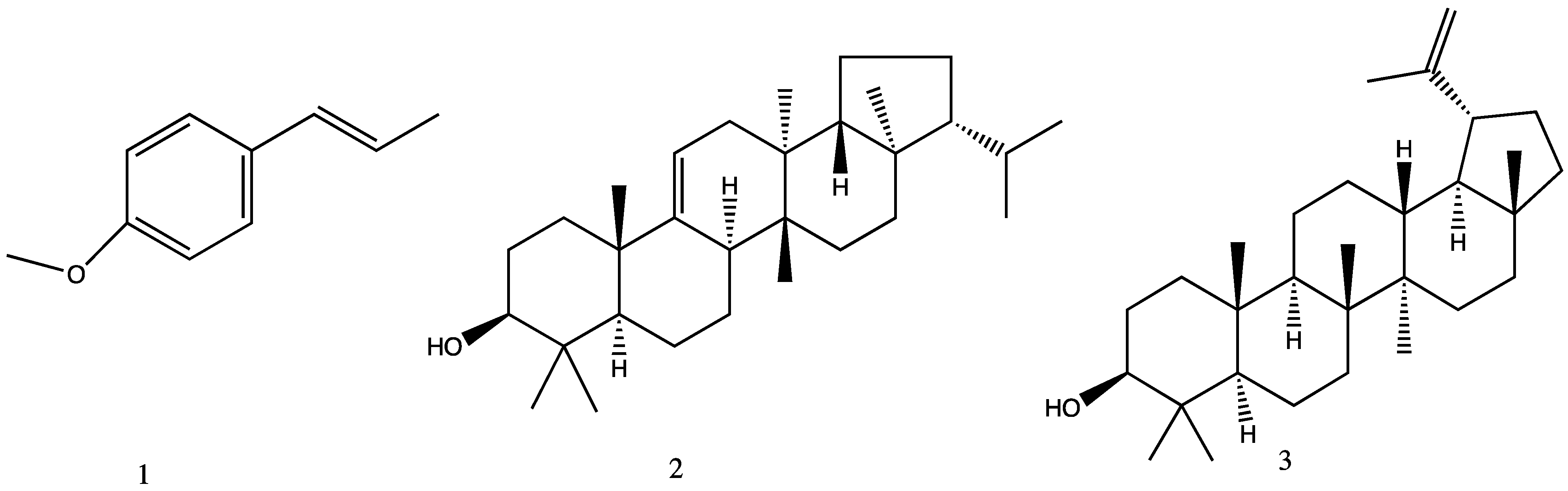 Plants 13 01921 g002