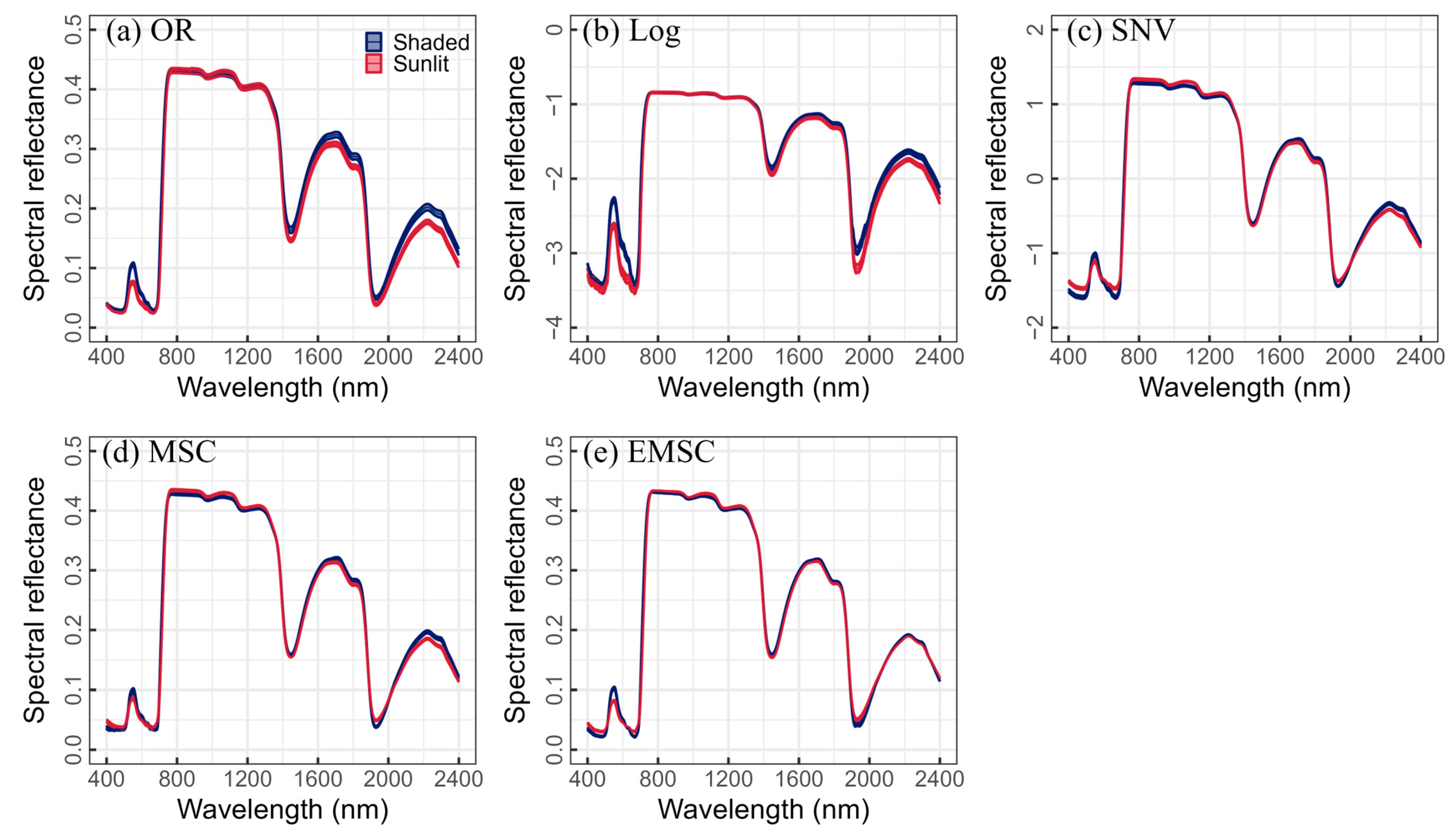 Plants 13 01923 g002