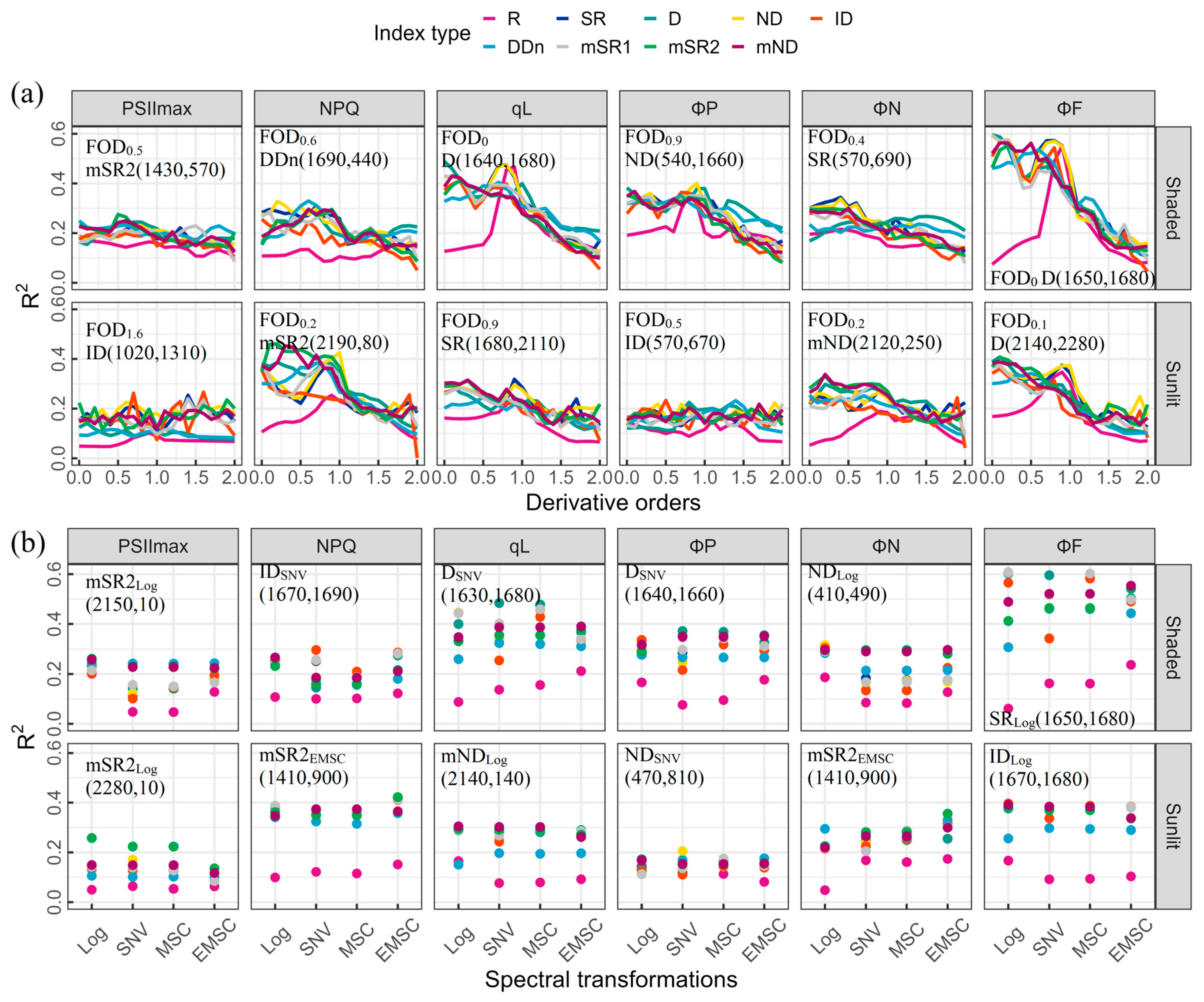Plants 13 01923 g004