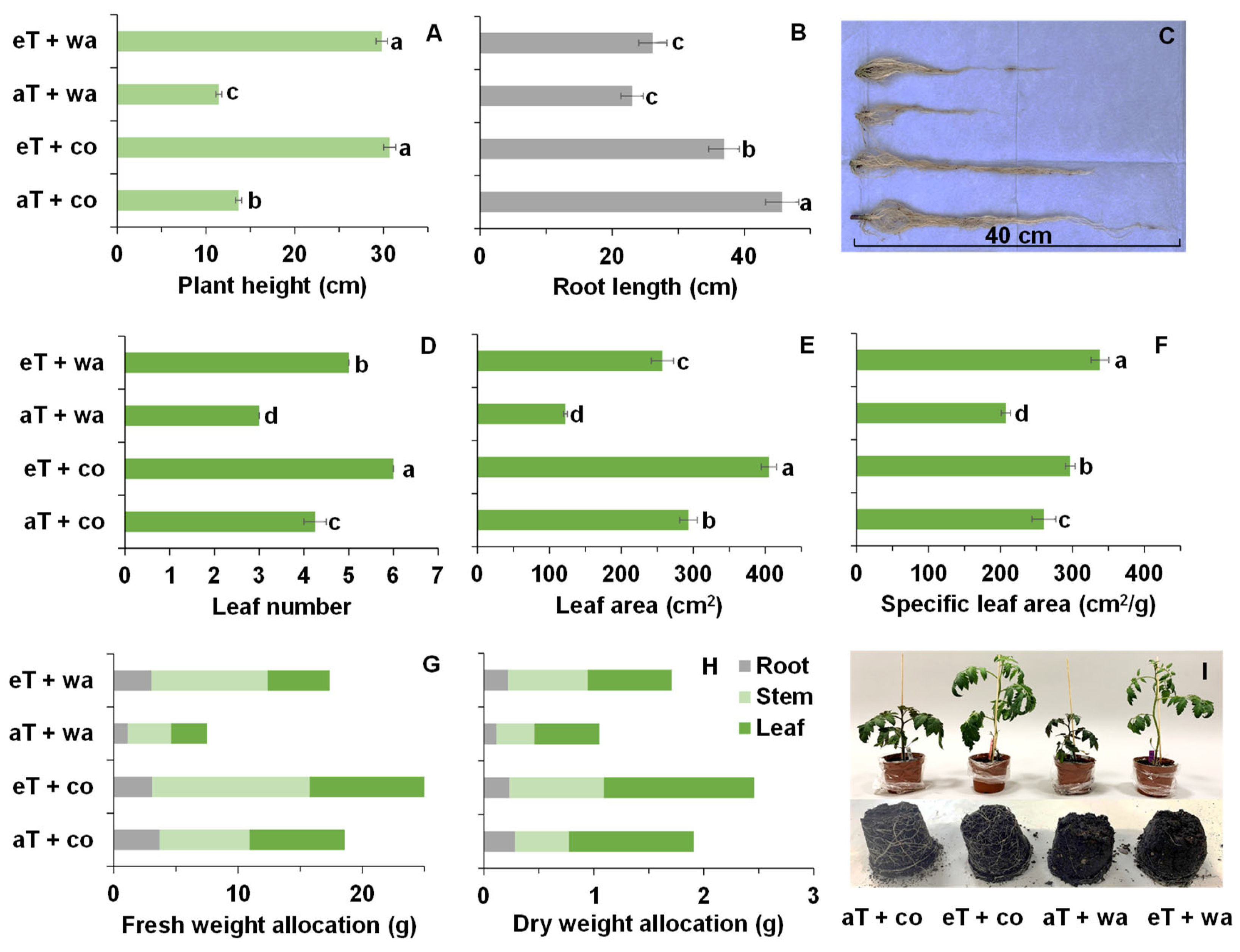 Plants 13 01924 g005