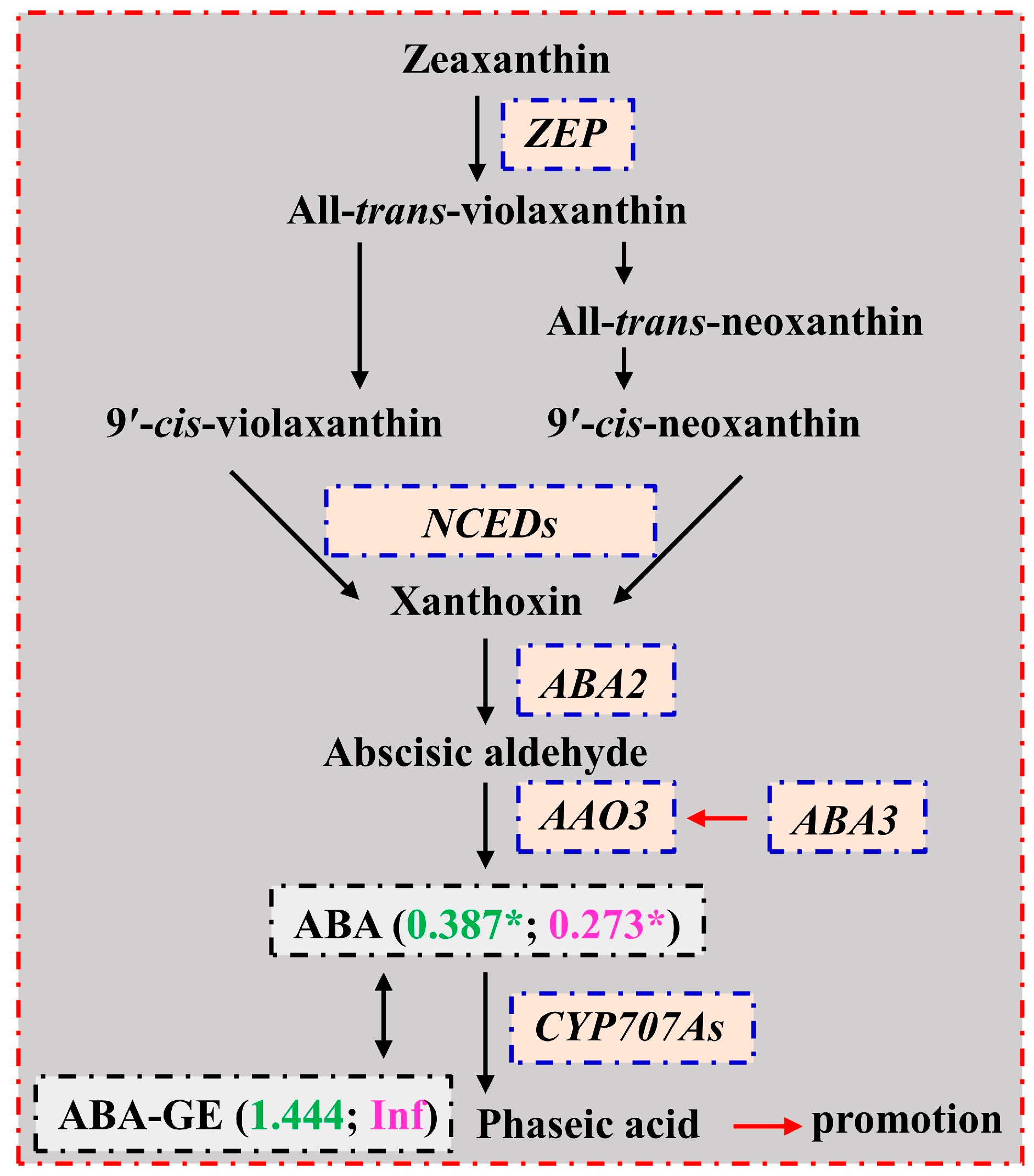 Plants 13 01925 g007 Plants 13 01925 g007