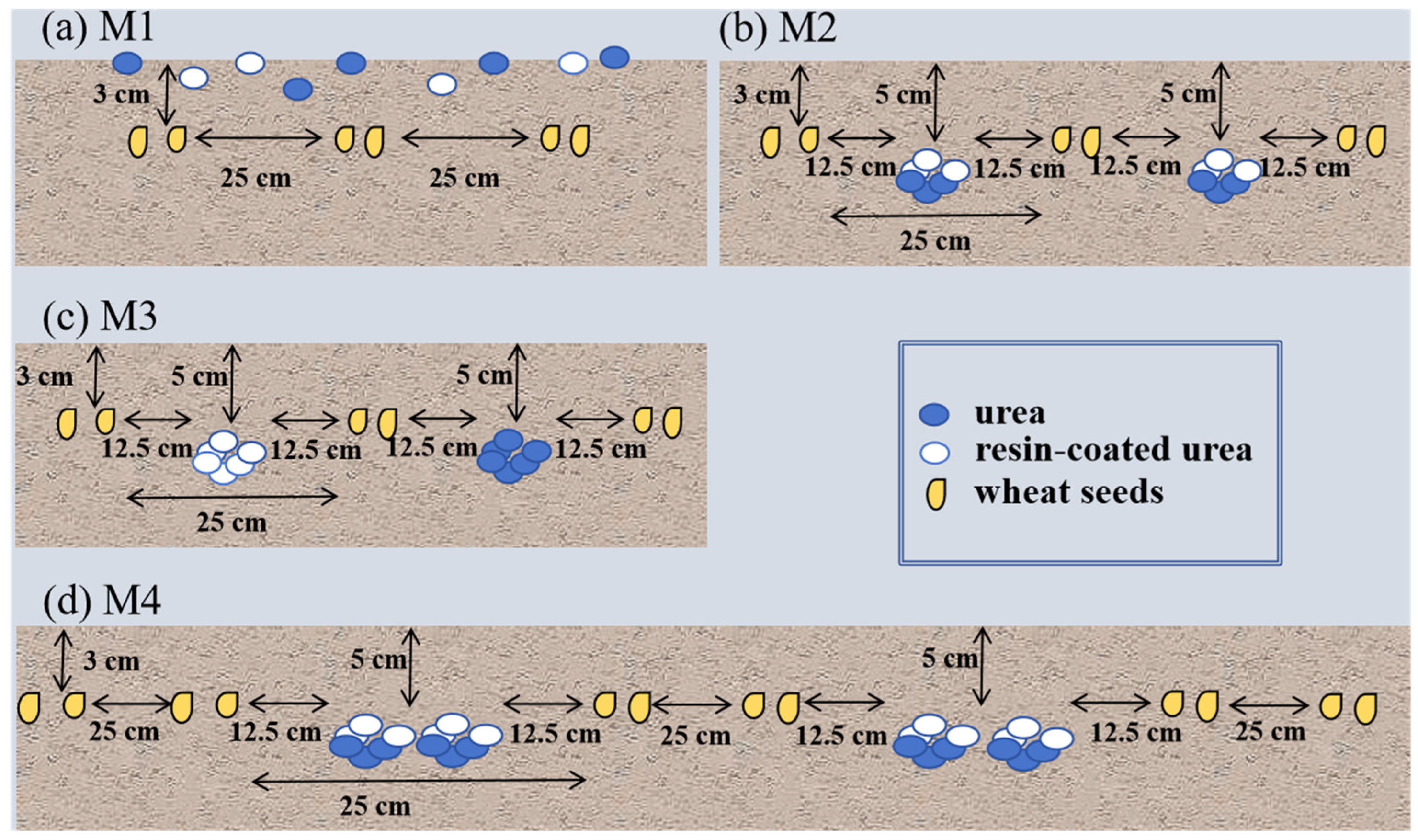 Plants 13 01926 g002