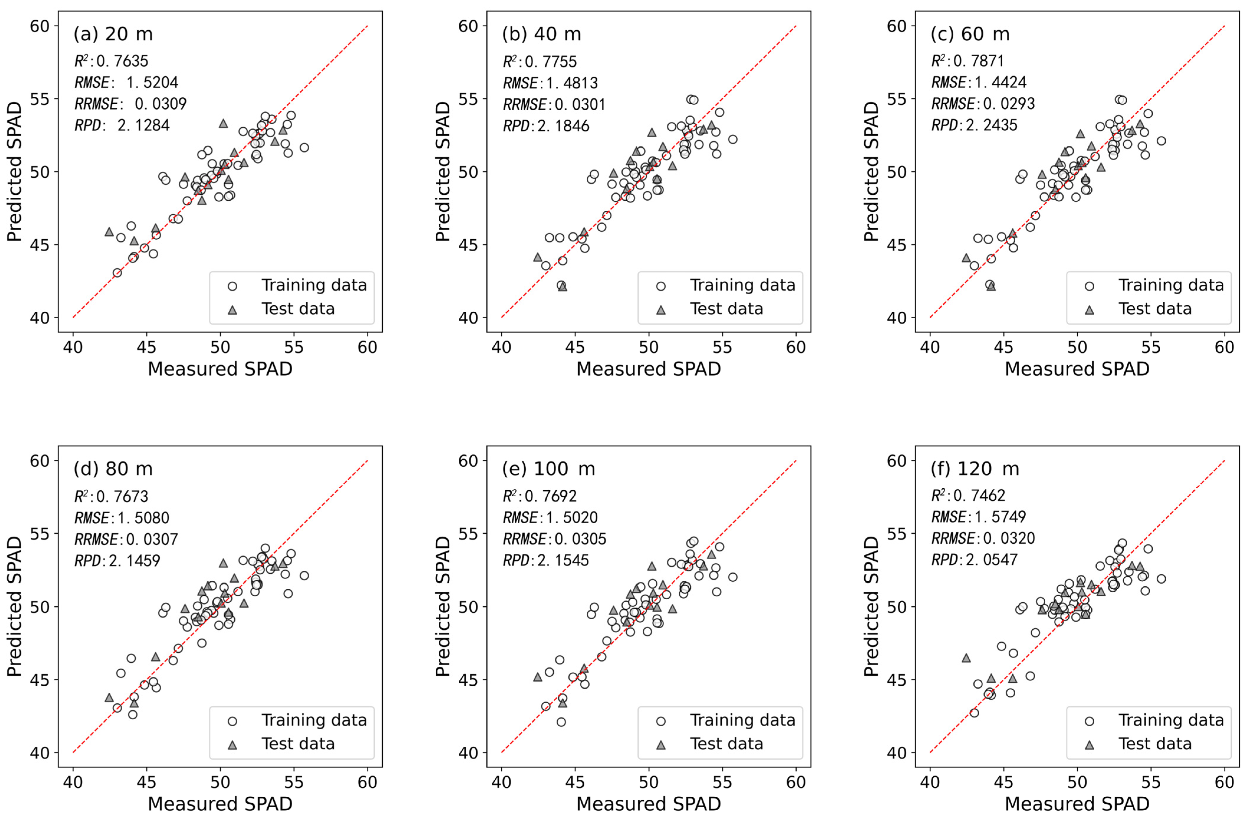 Plants 13 01926 g006