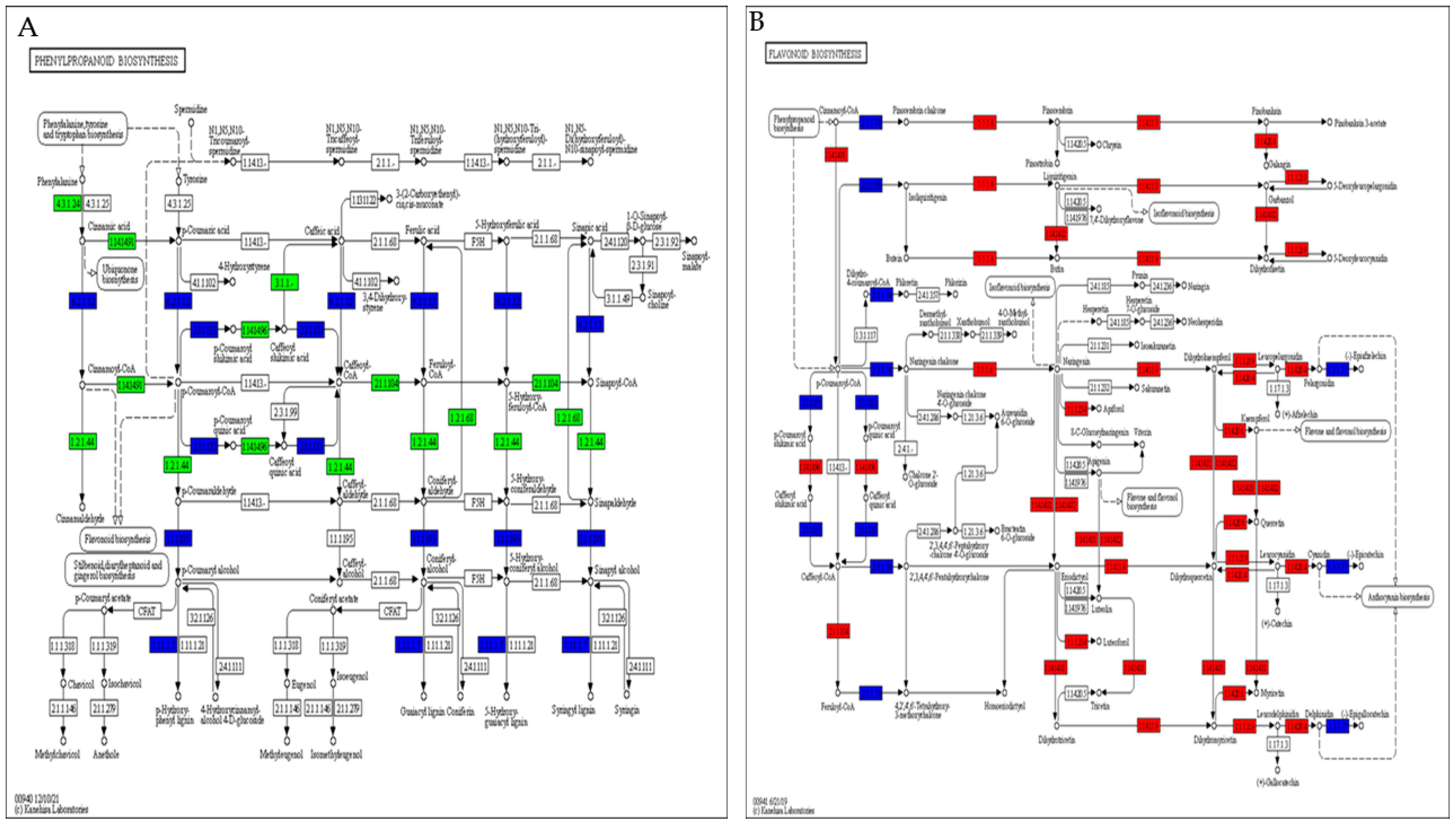 Plants 13 01928 g008