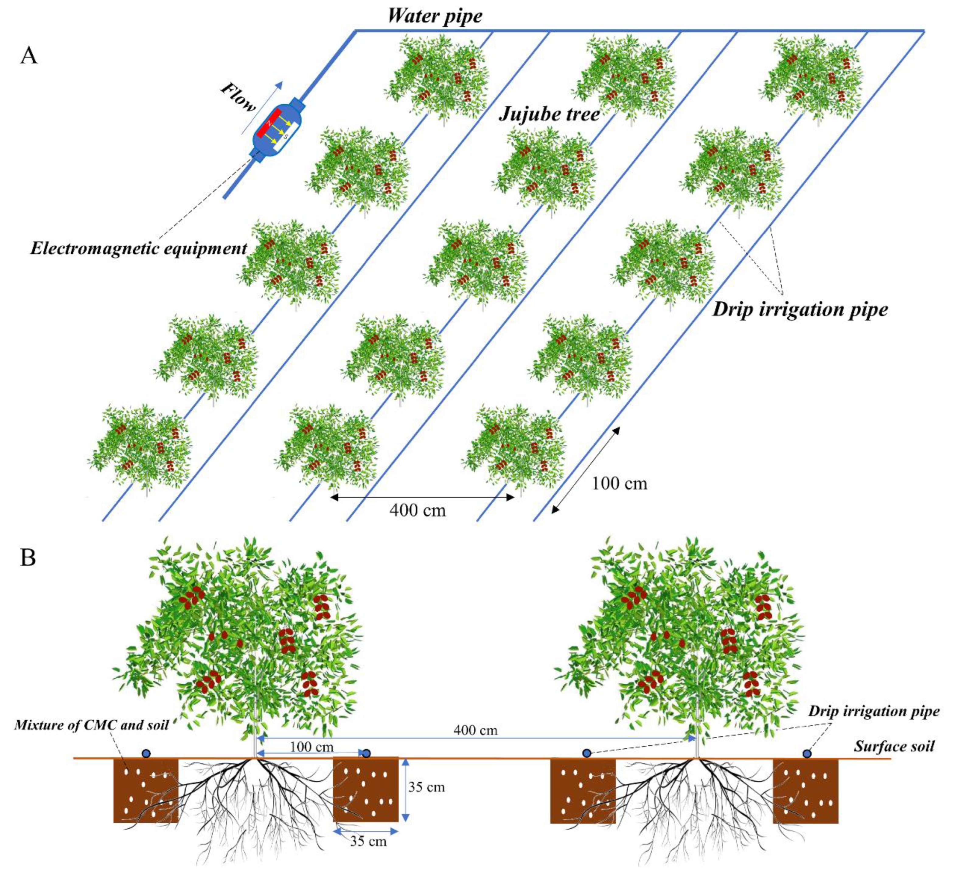 Plants 13 01930 g002
