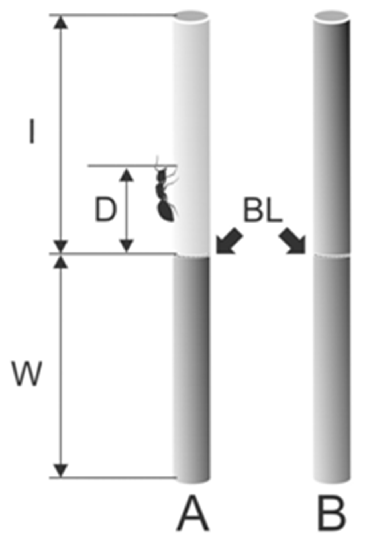 Plants 13 01932 g002 Plants 13 01932 g002