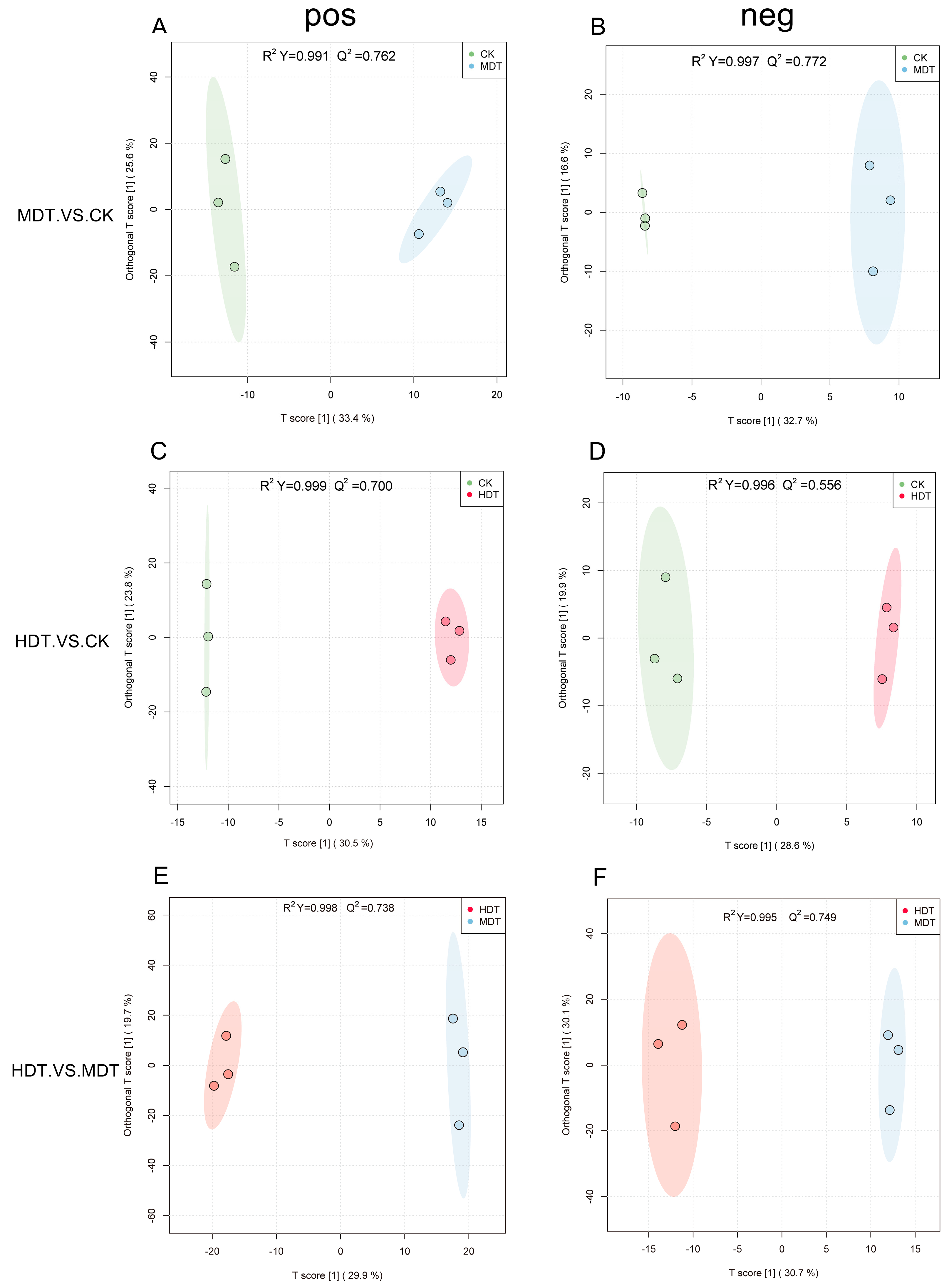 Plants 13 01935 g004