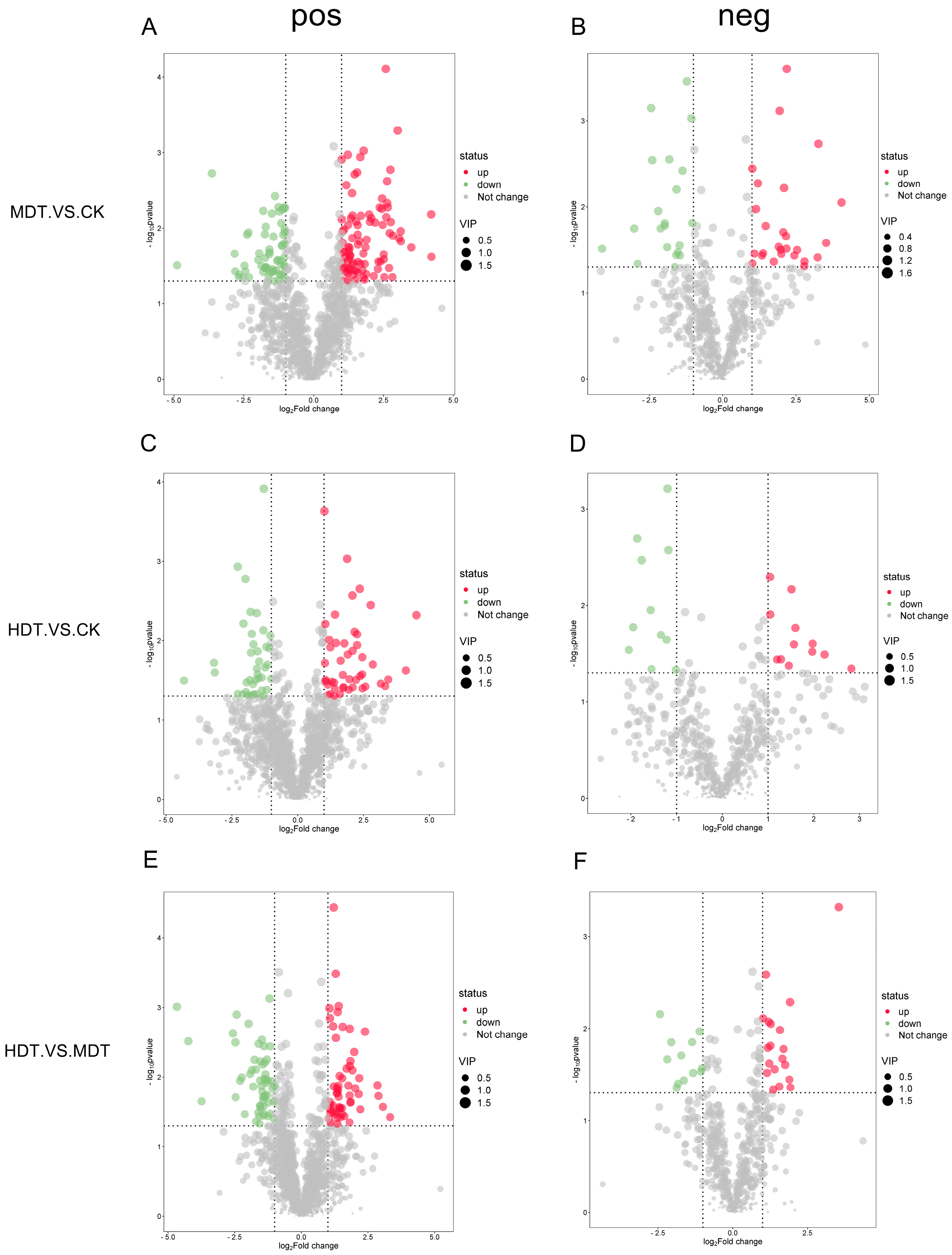 Metabolic Response of the Lycium barbarum Variety 'Ningqi No