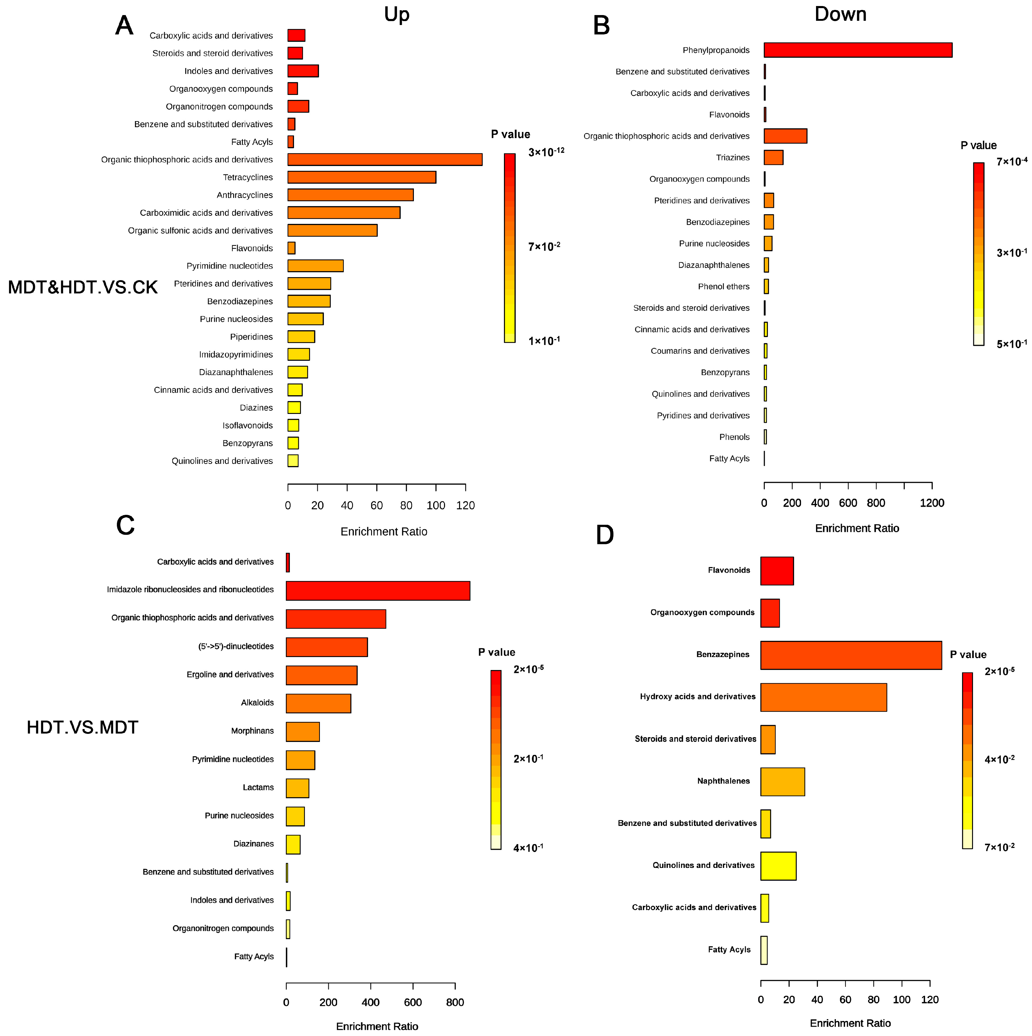 Plants 13 01935 g007