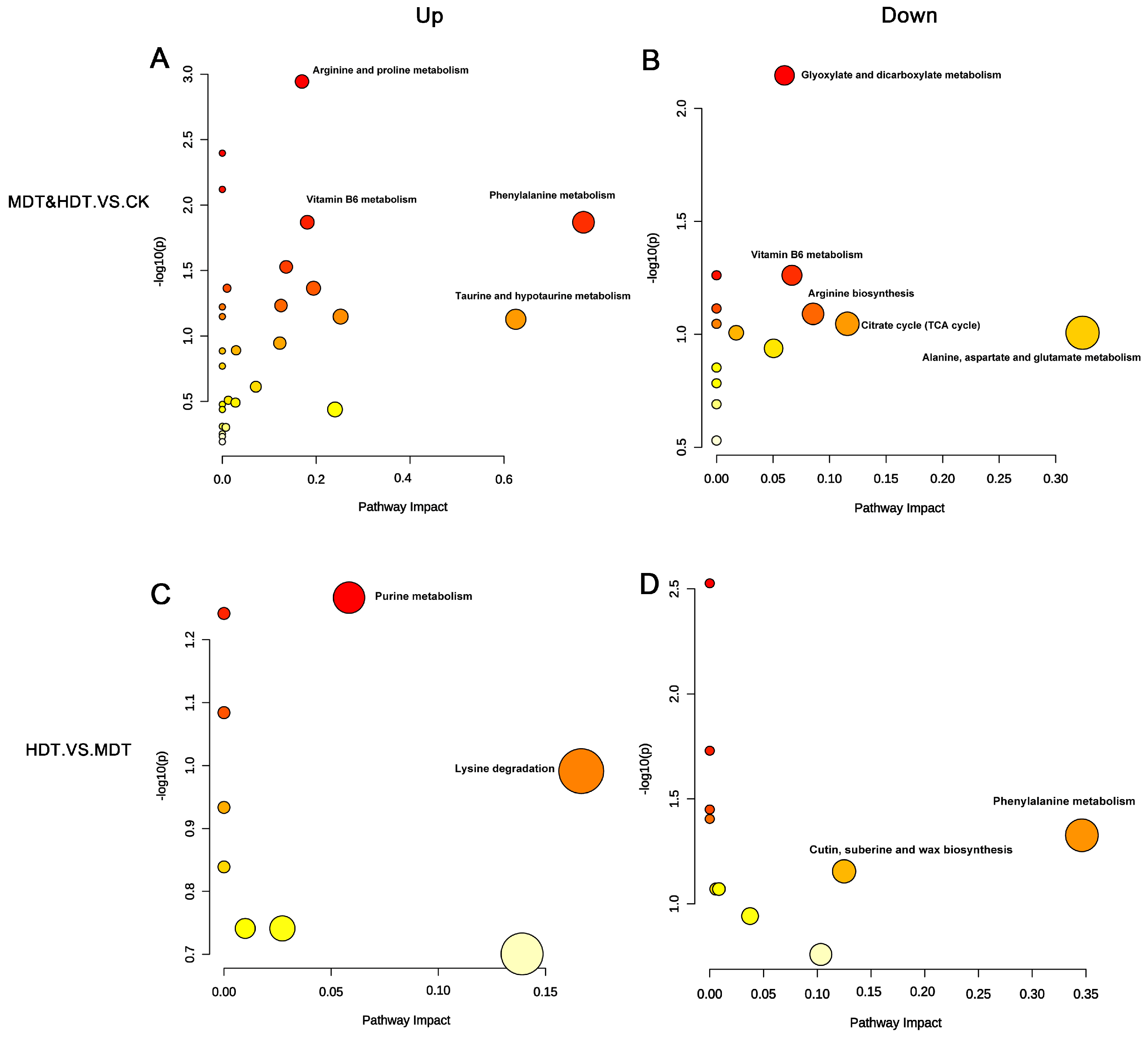 Plants 13 01935 g008
