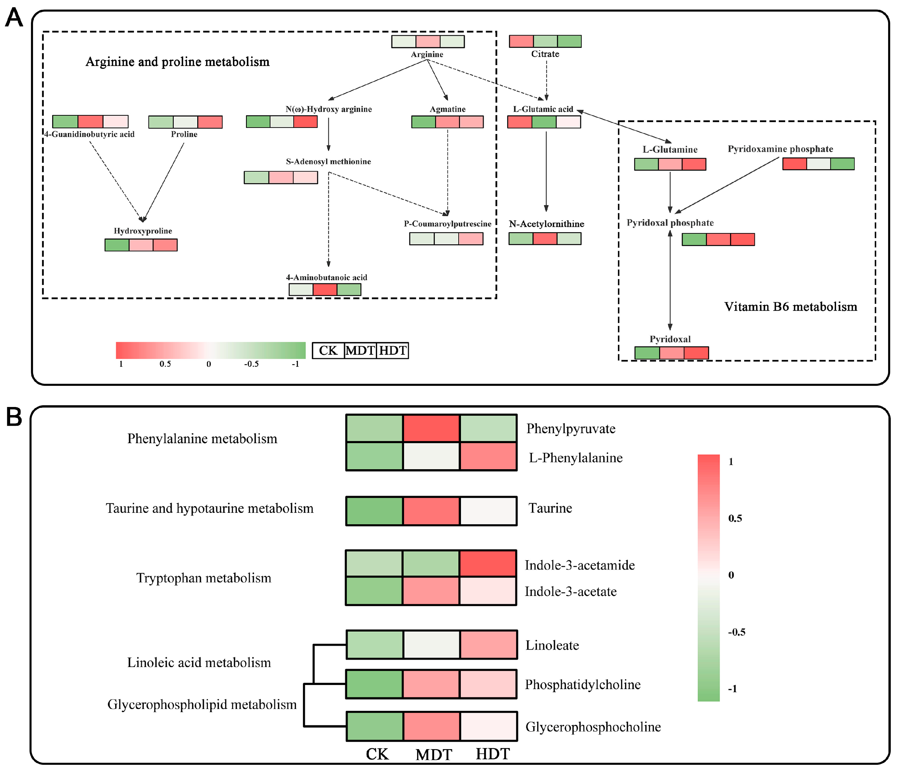 Plants 13 01935 g009