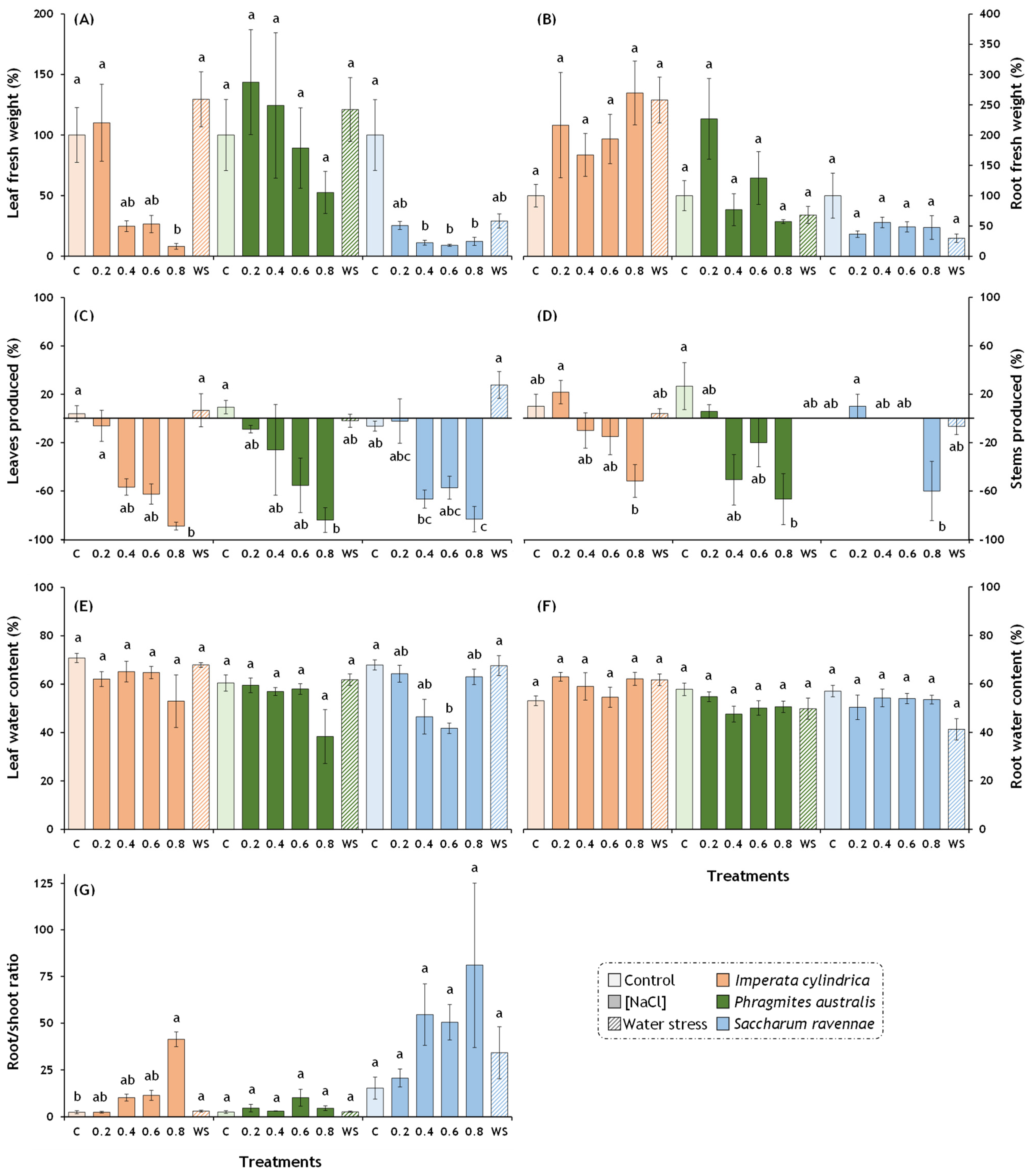 Plants 13 01939 g001