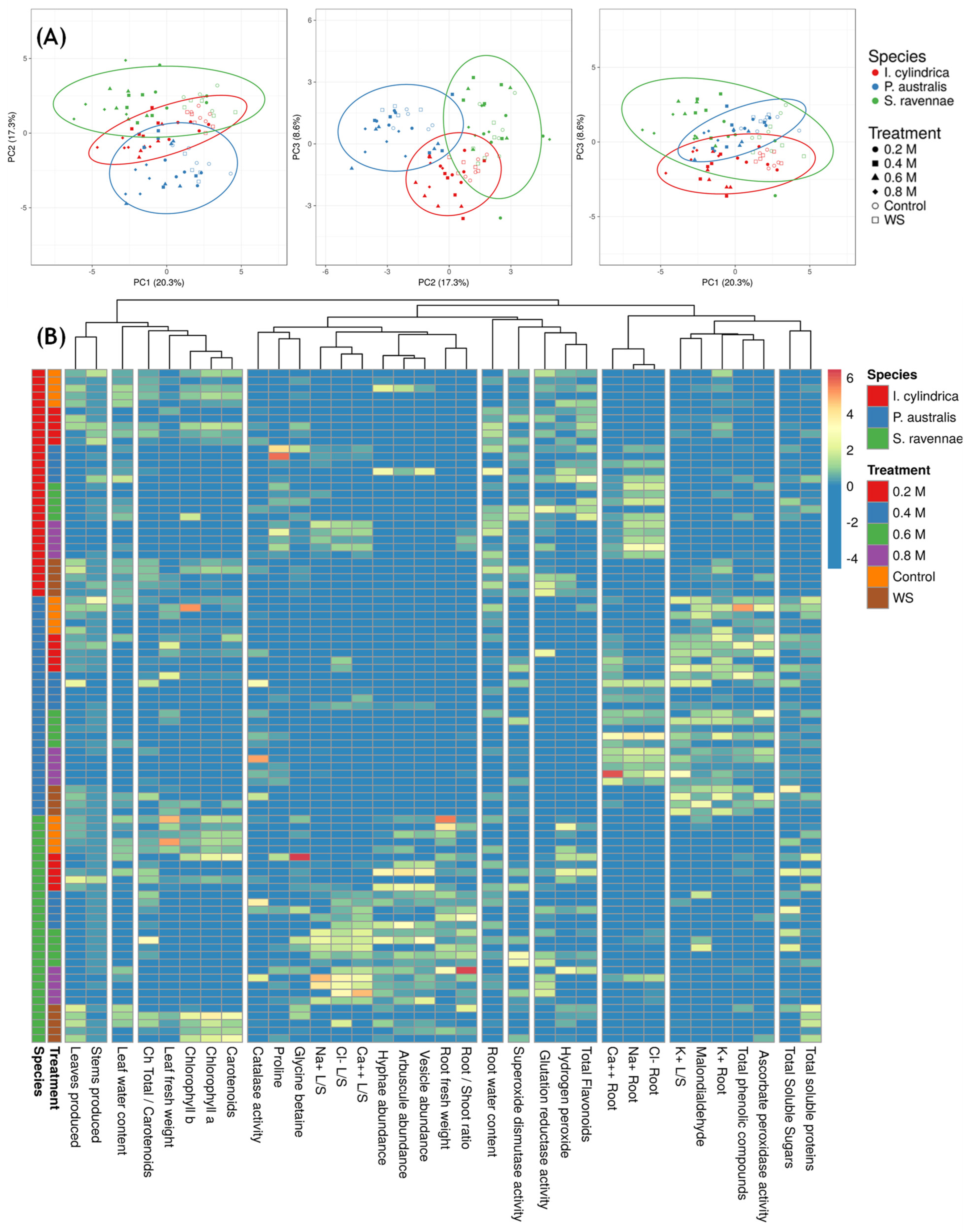 Plants 13 01939 g006