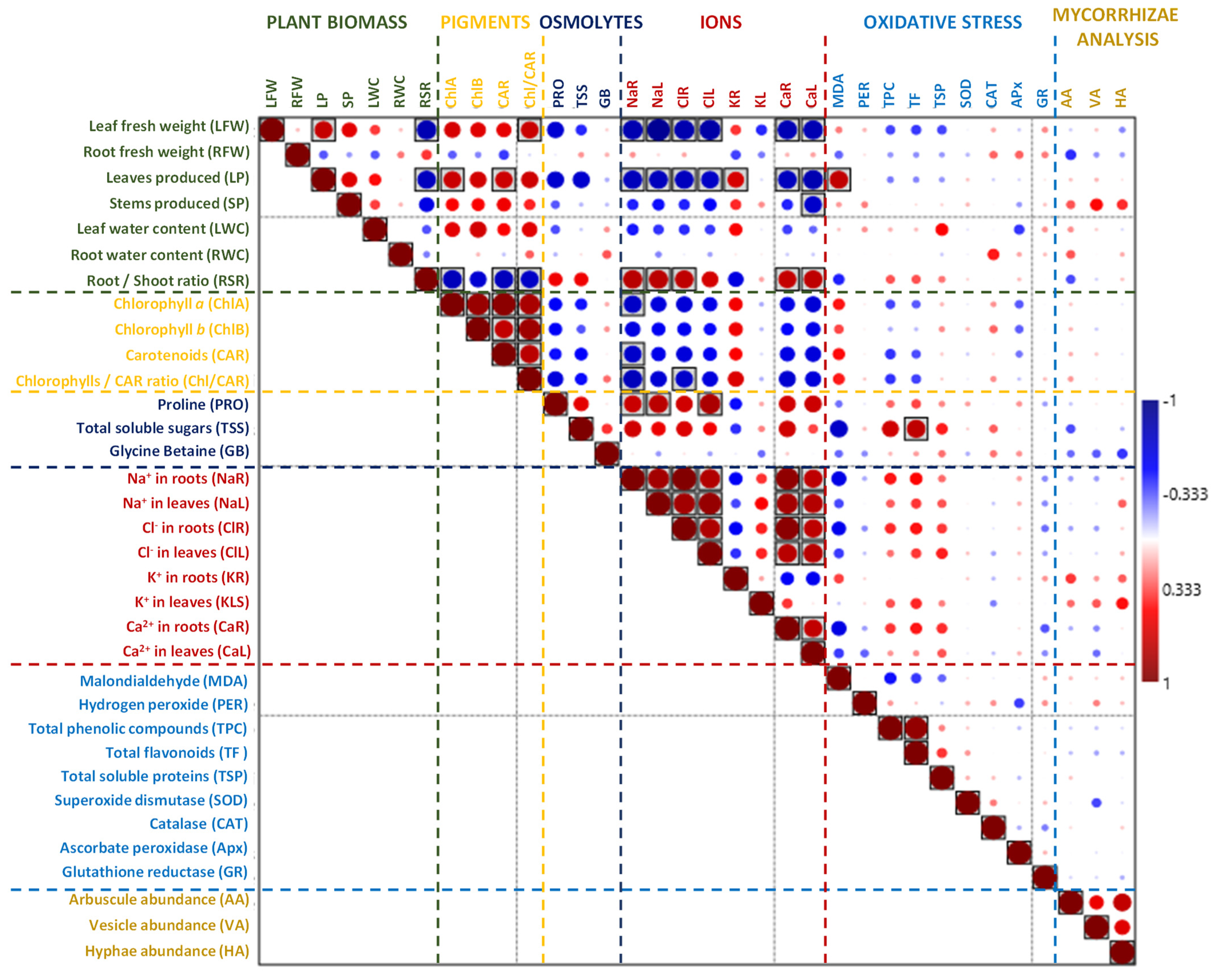 Plants 13 01939 g007