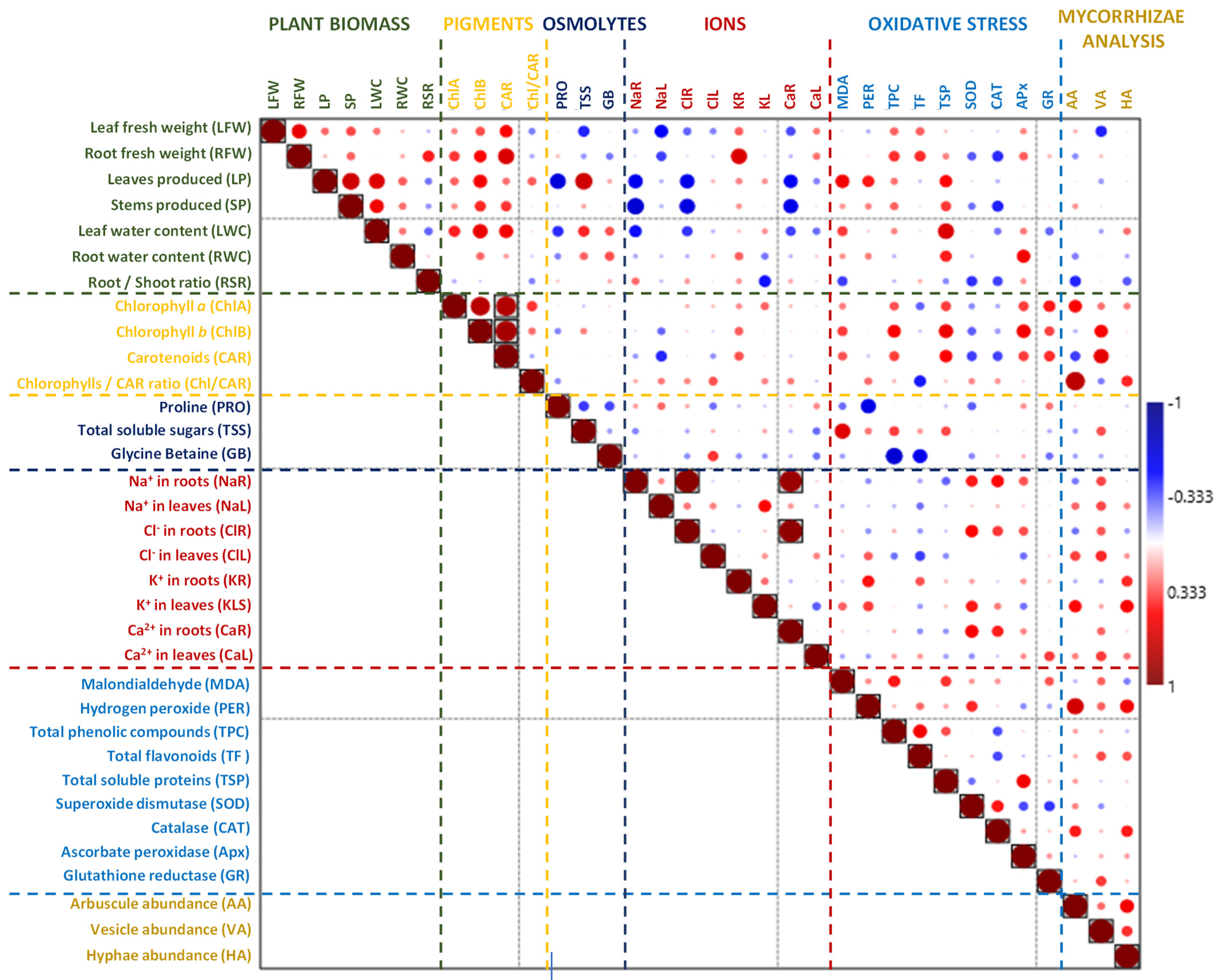Plants 13 01939 g008