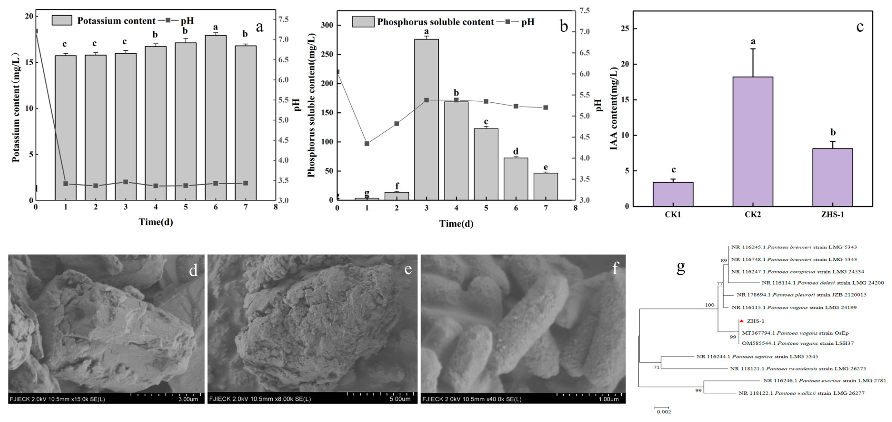 Plants 13 01945 g001 Plants 13 01945 g001