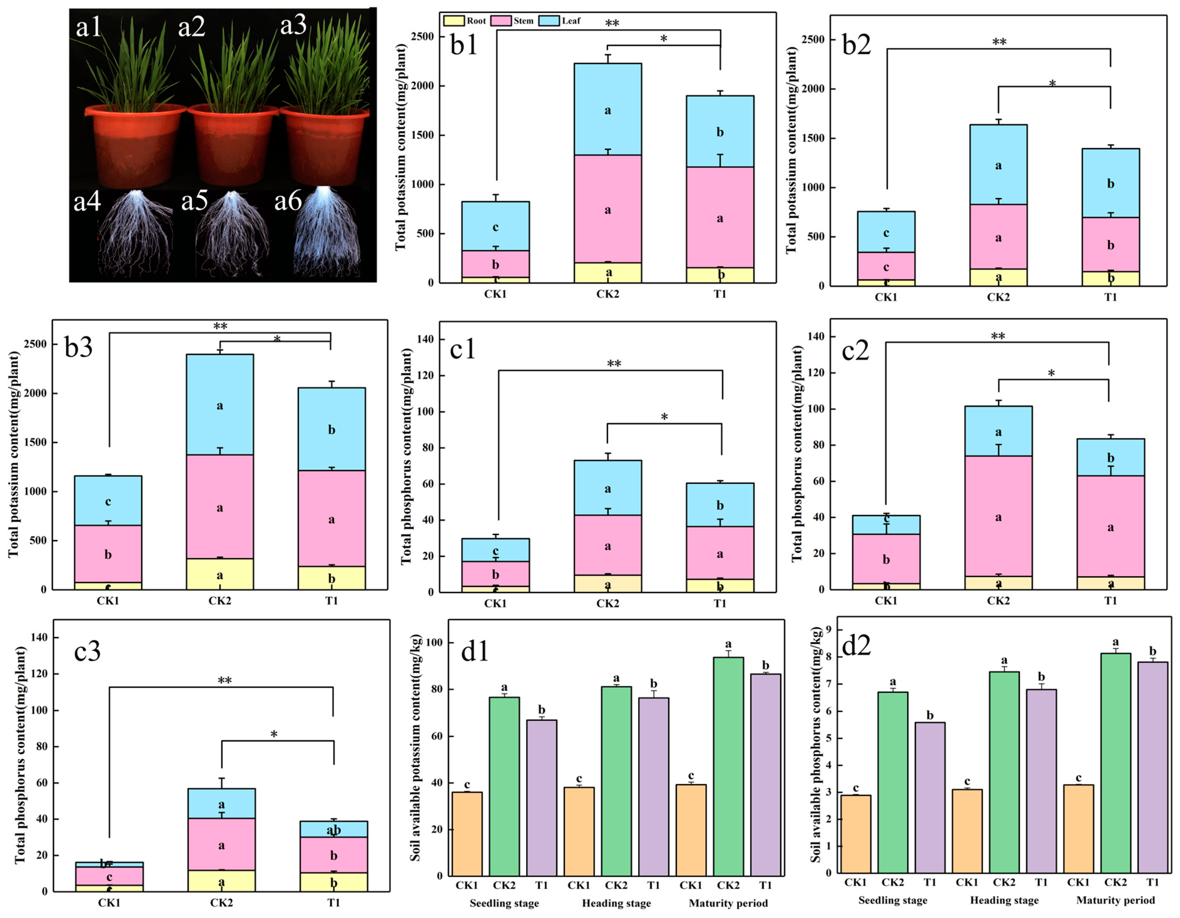 Plants 13 01945 g004 Plants 13 01945 g004