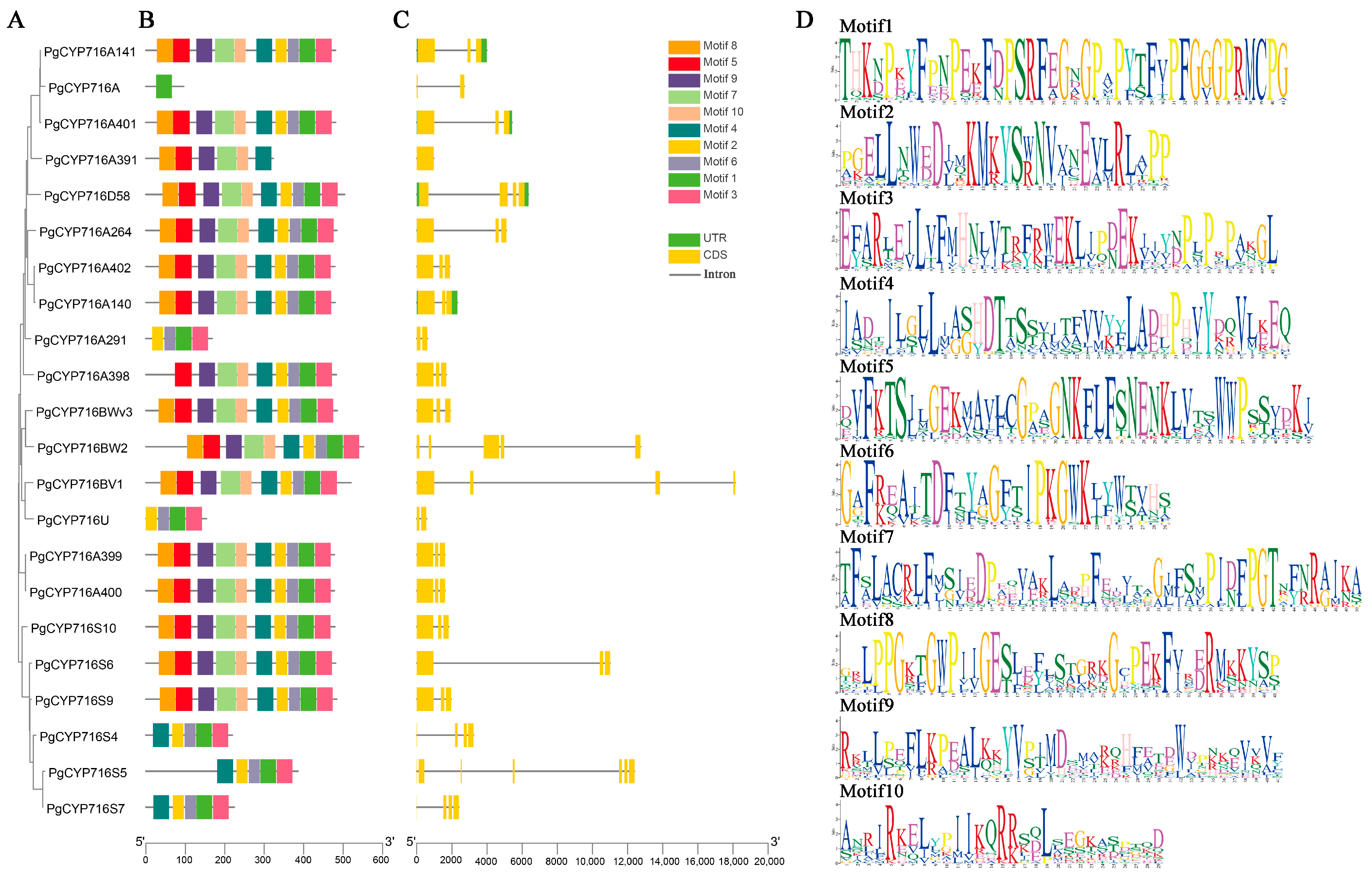 Plants 13 01946 g002 Plants 13 01946 g002