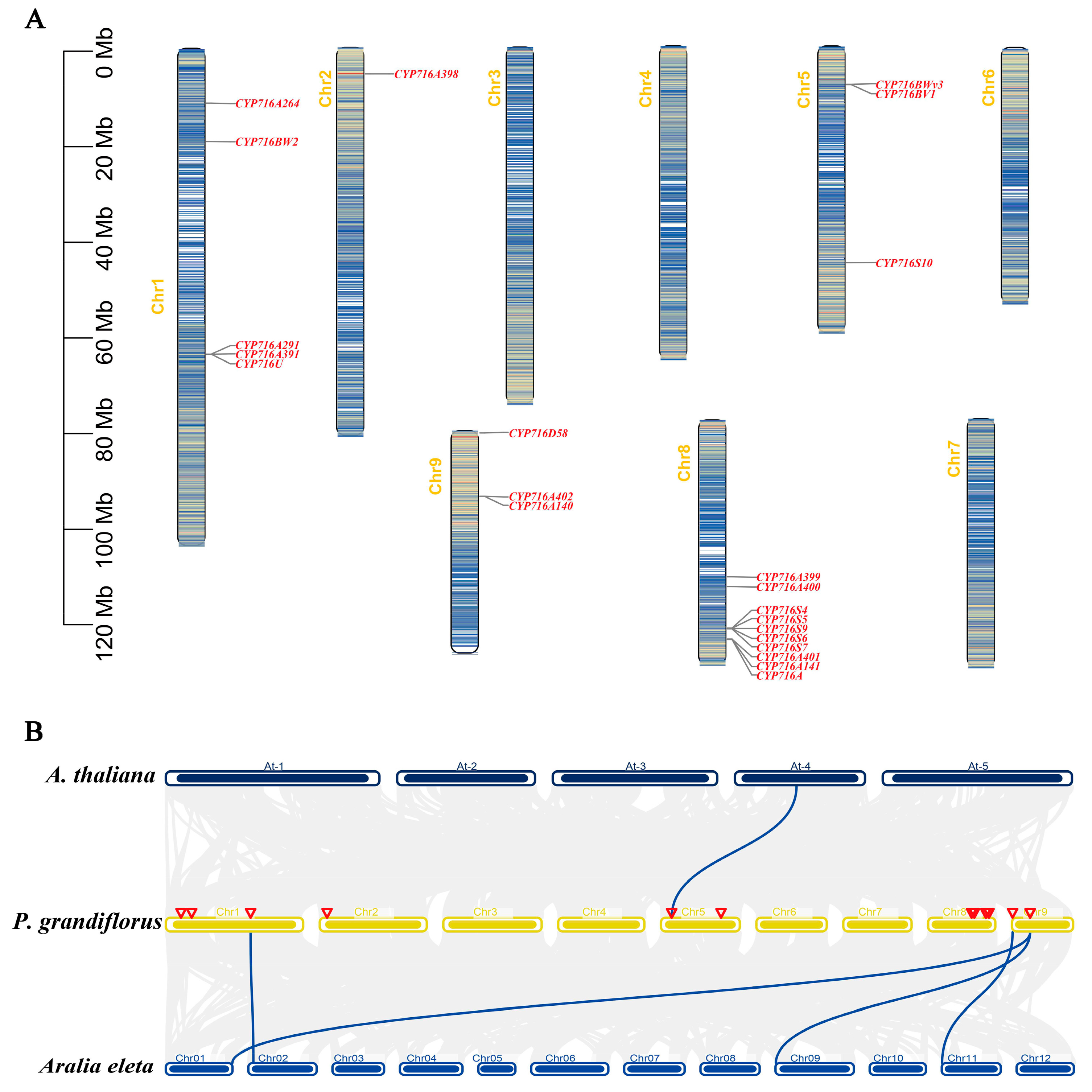 Plants 13 01946 g003 Plants 13 01946 g003
