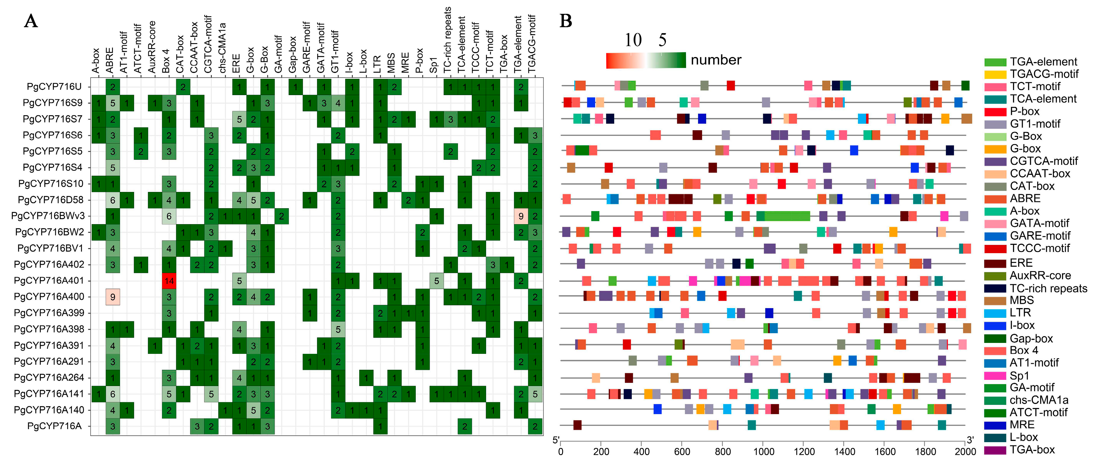 Plants 13 01946 g004 Plants 13 01946 g004