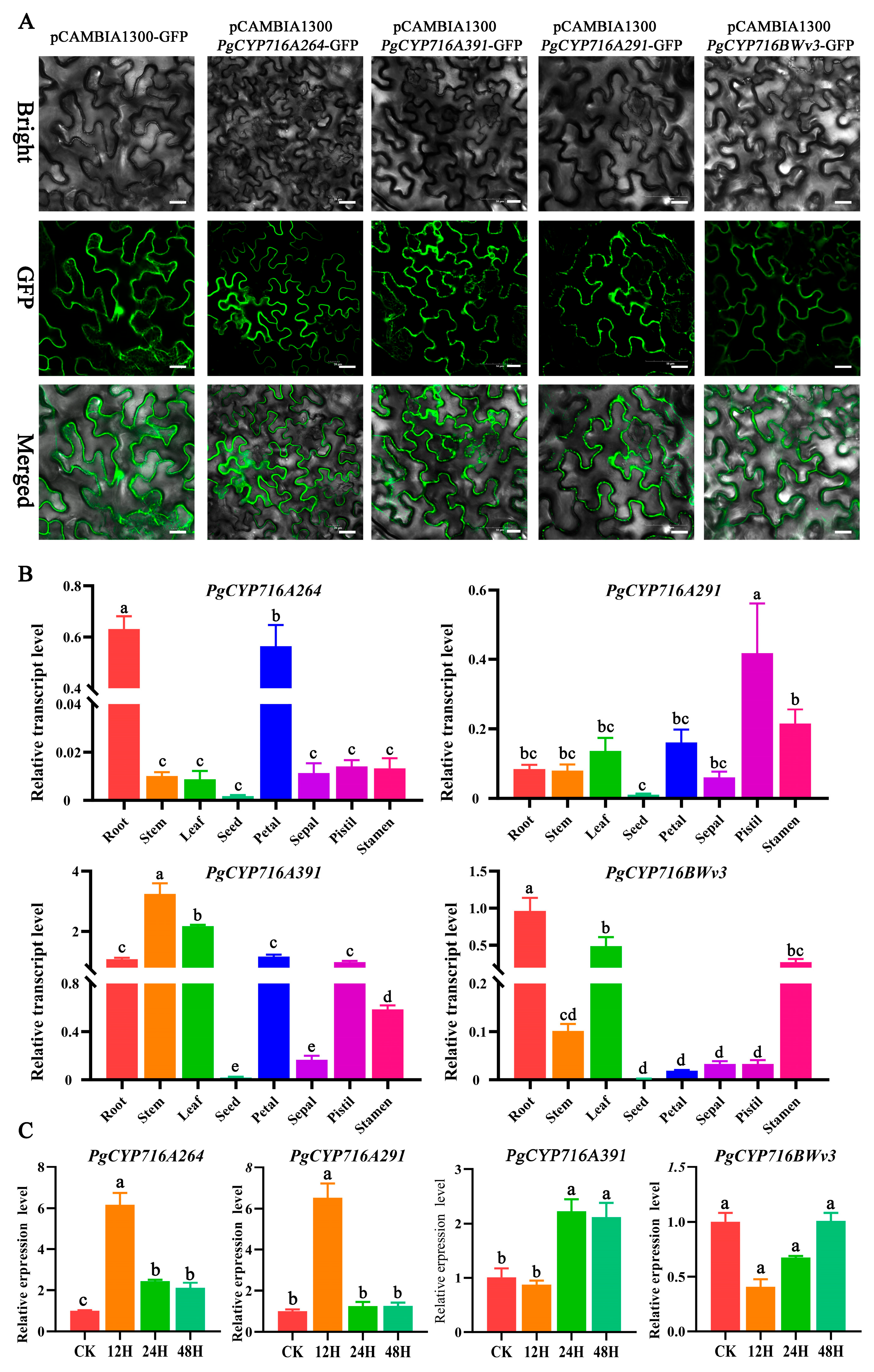 Plants 13 01946 g006 Plants 13 01946 g006