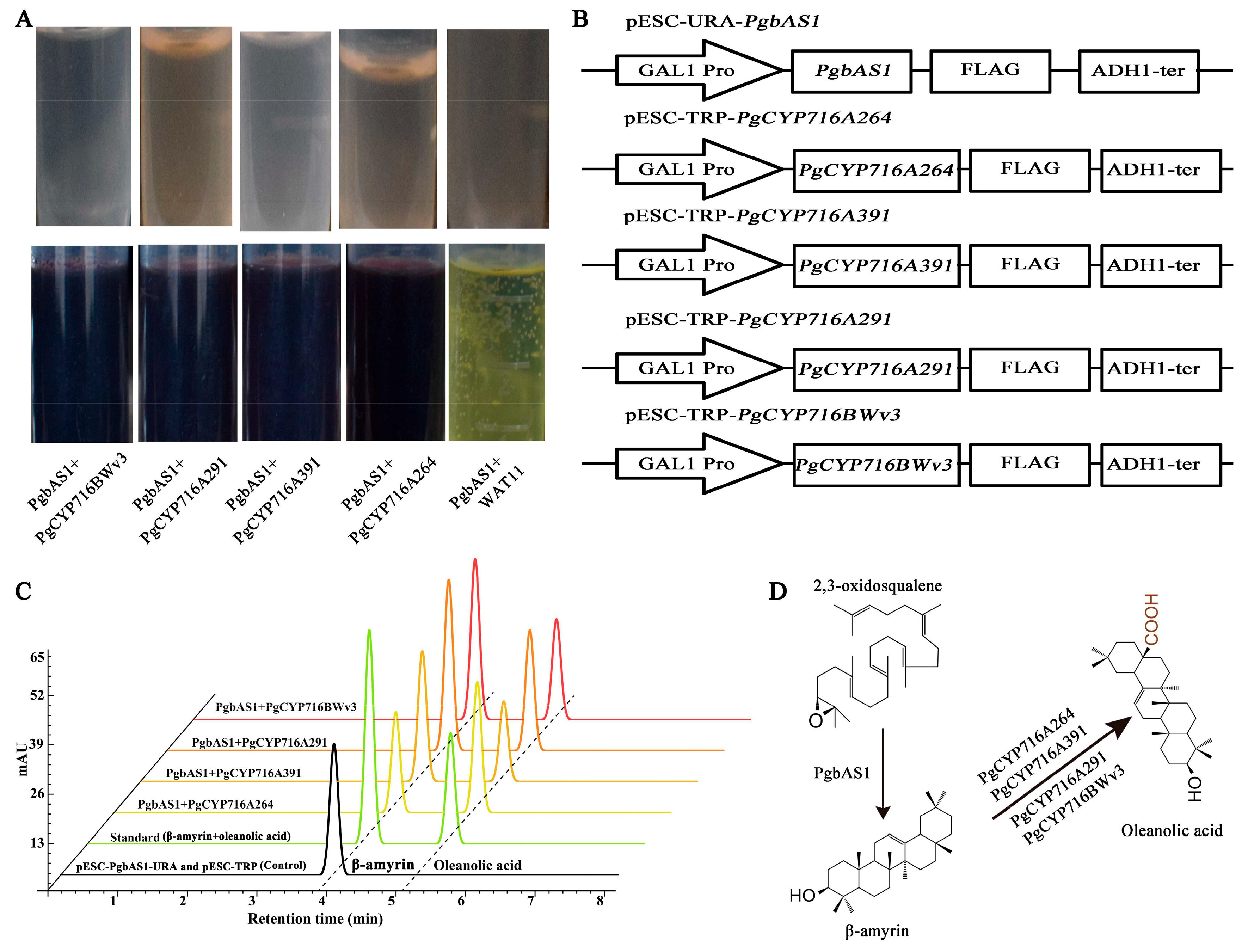 Plants 13 01946 g007 Plants 13 01946 g007