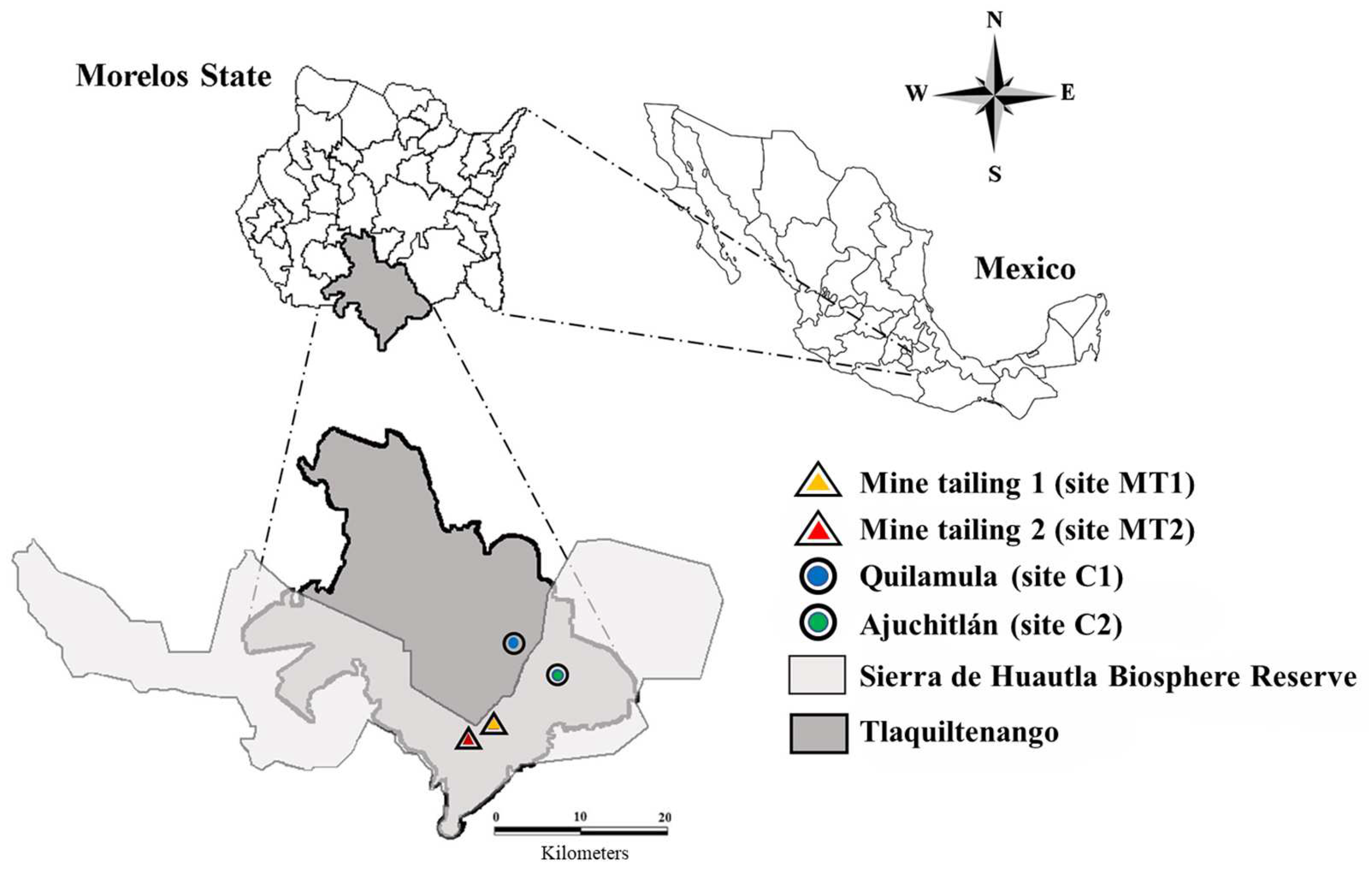 Plants 13 01947 g001